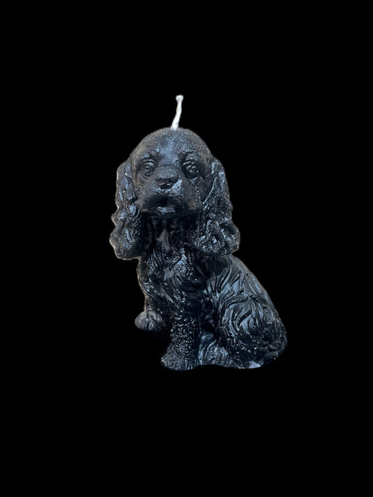 SPANIEL nero