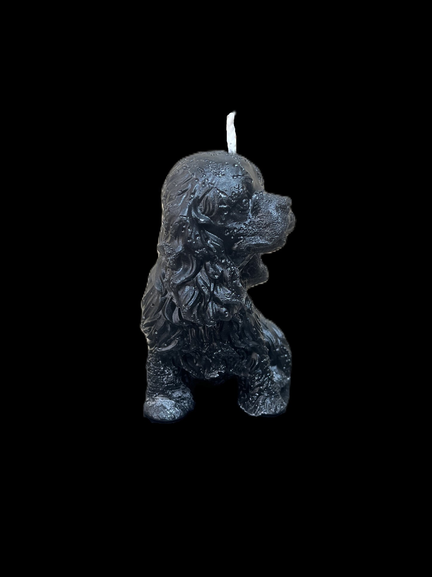 SPANIEL nero