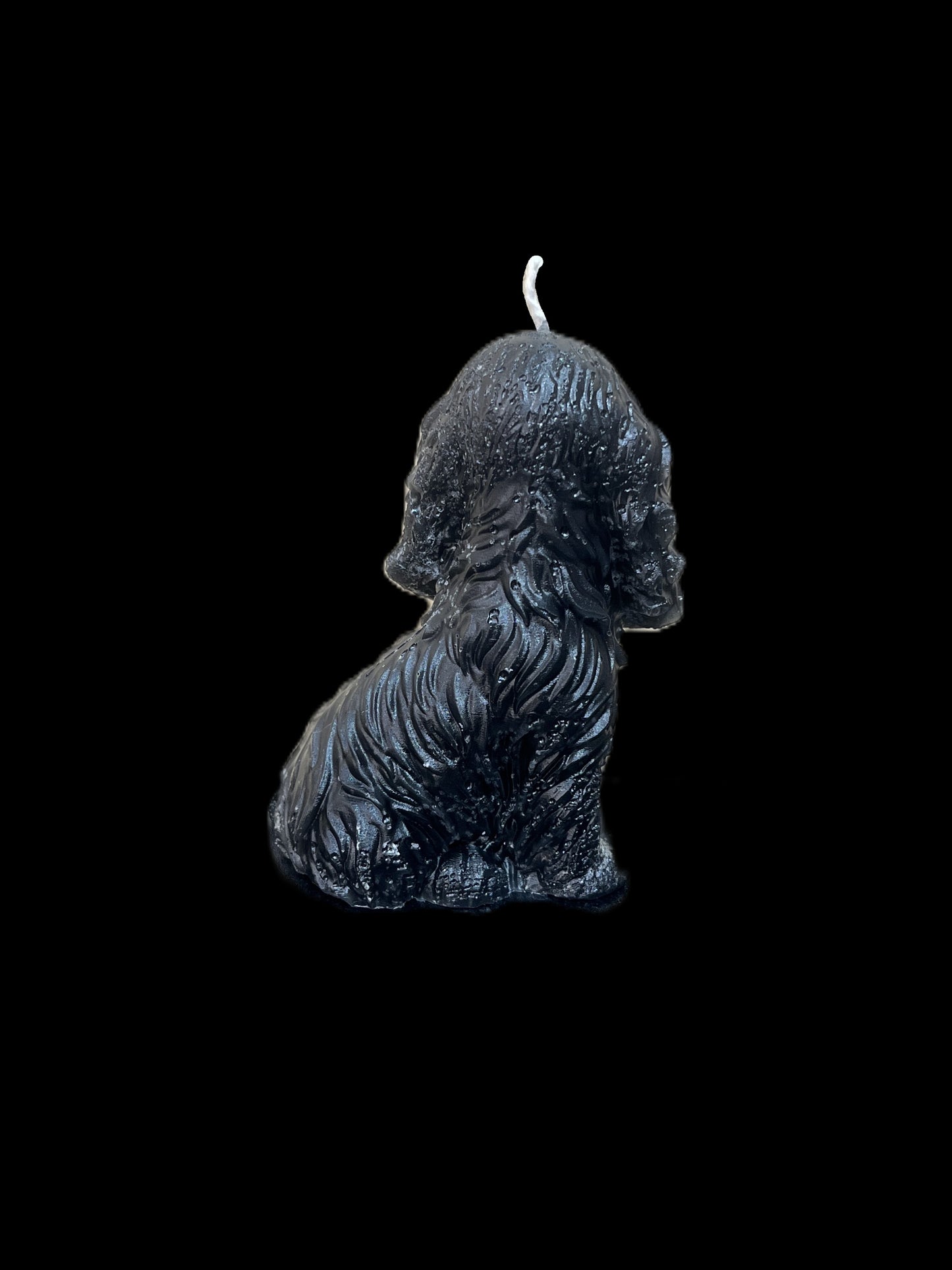 SPANIEL nero