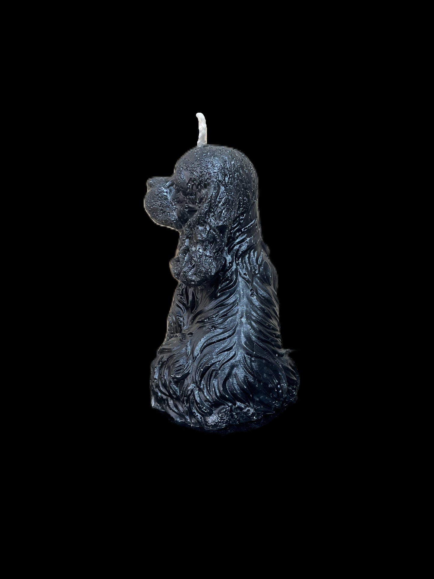 SPANIEL nero