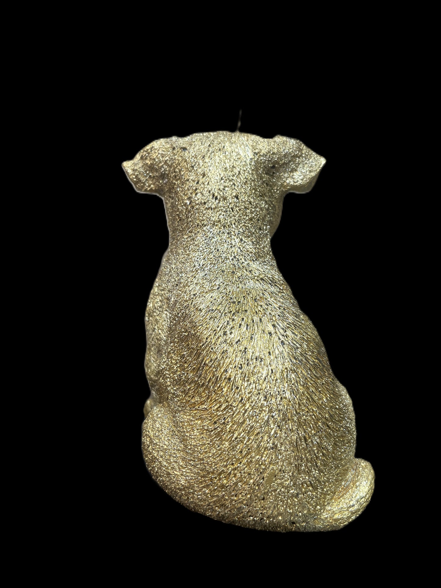 JACK RUSSELL oro