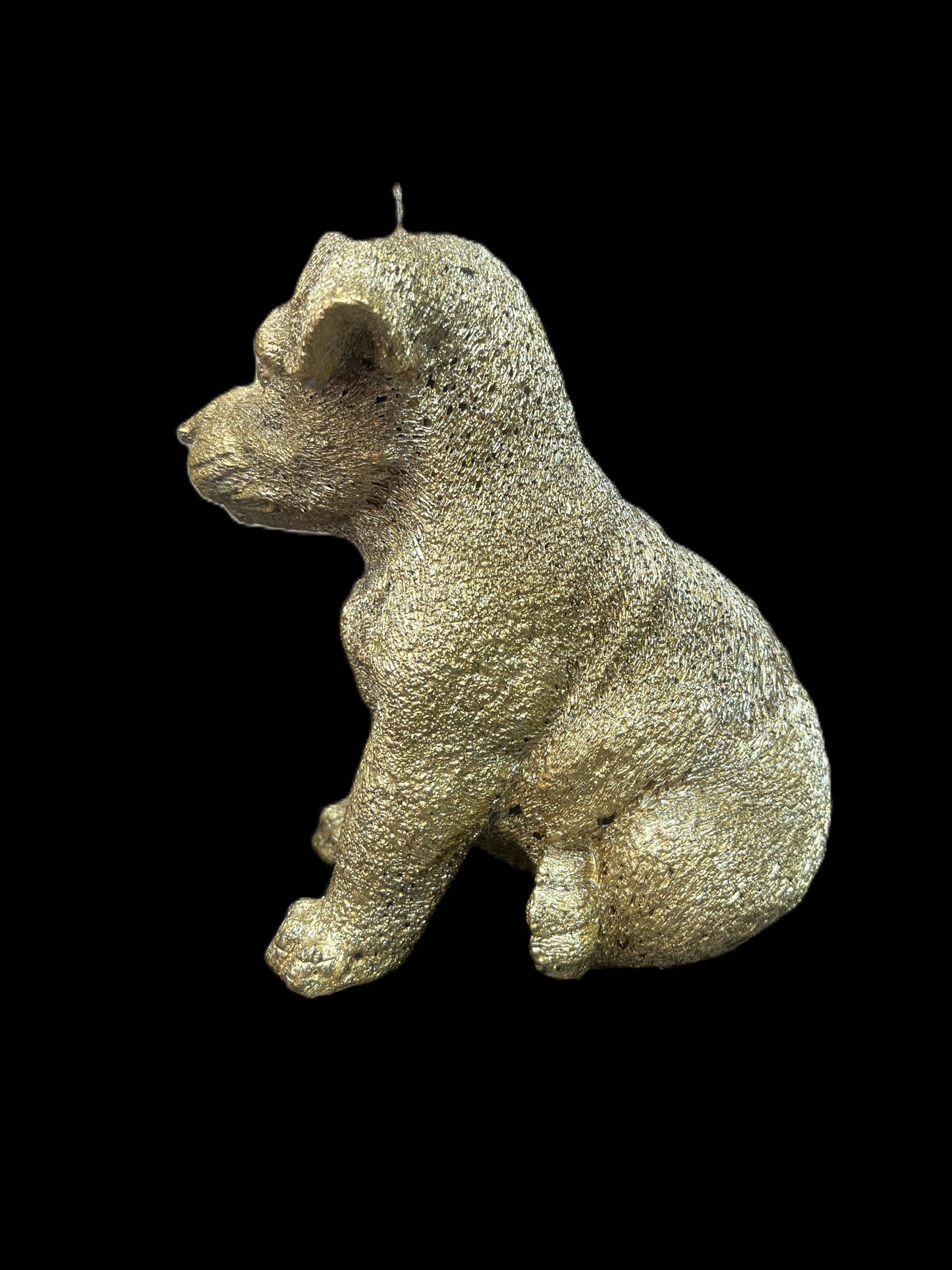 JACK RUSSELL oro
