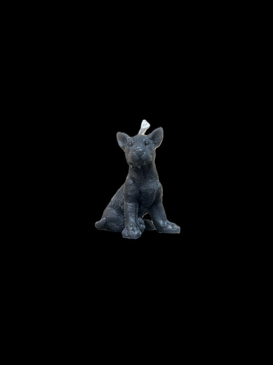 BULL TERRIER grigio