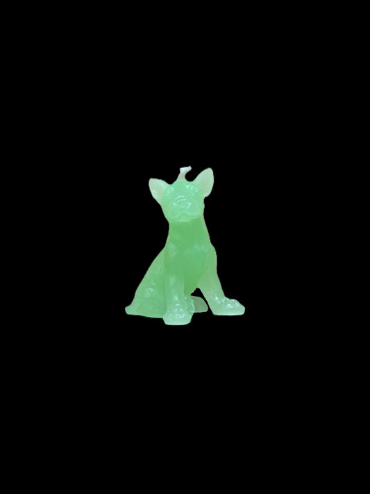 BULL TERRIER verde