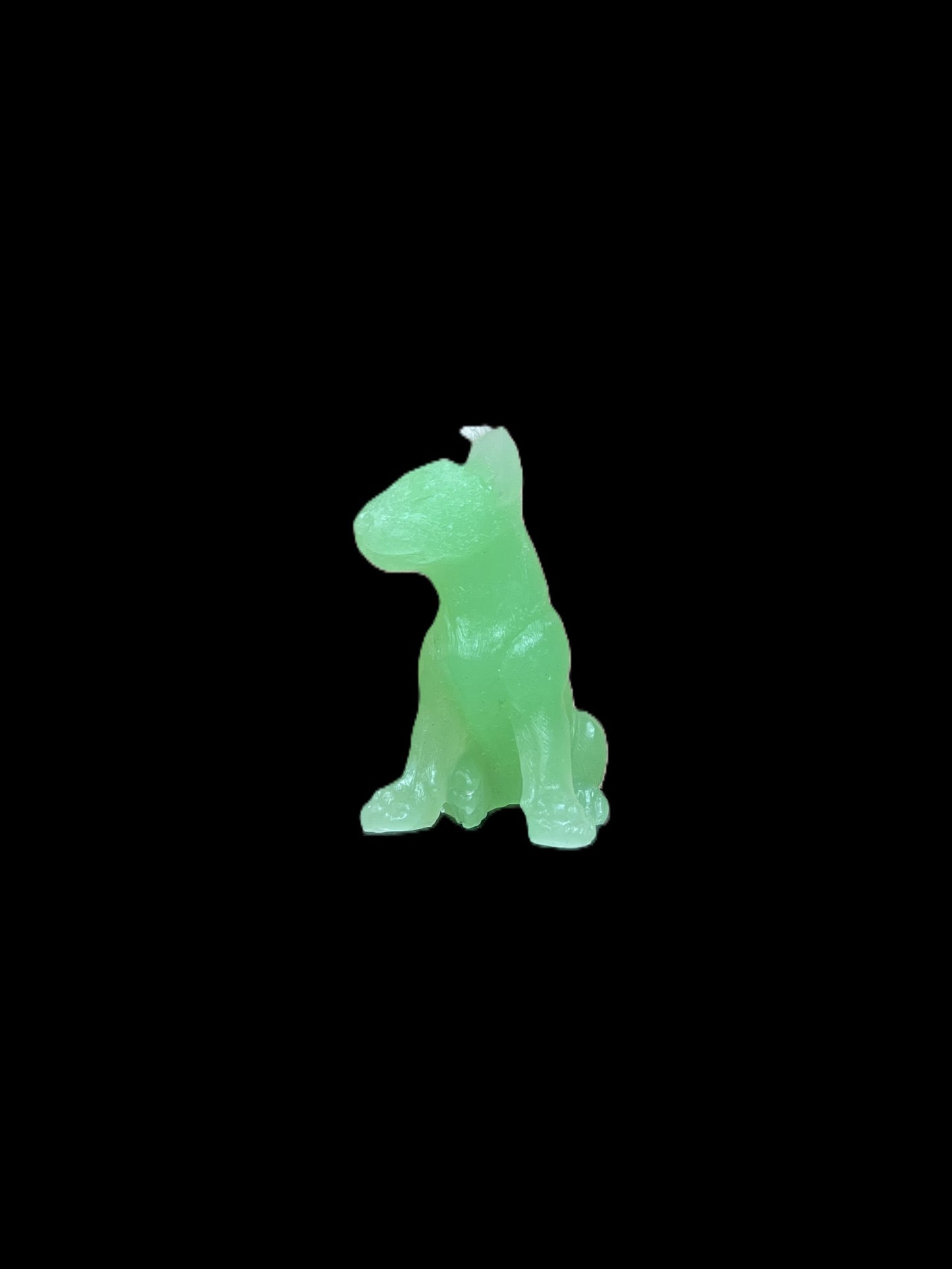BULL TERRIER verde