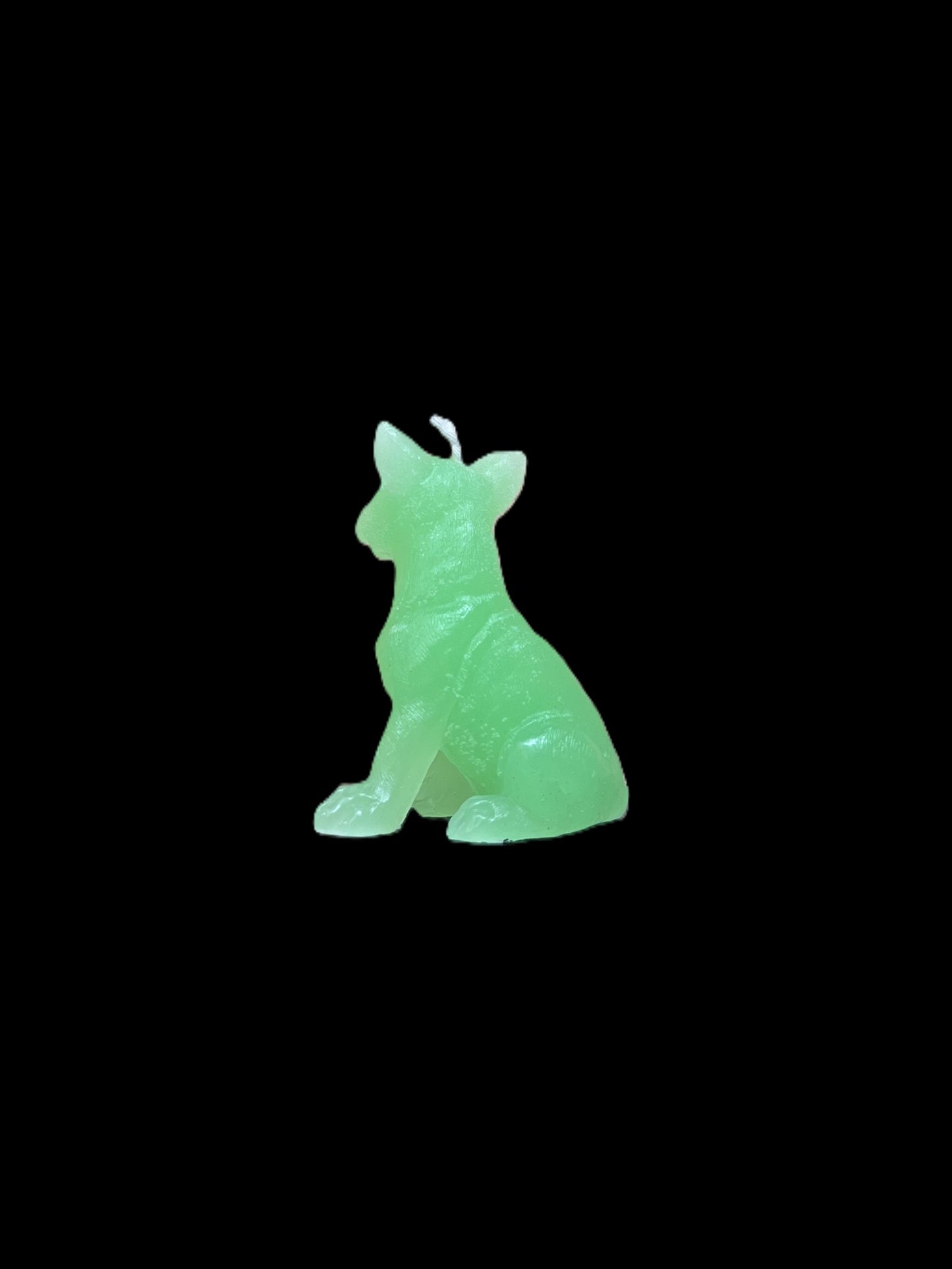 BULL TERRIER verde