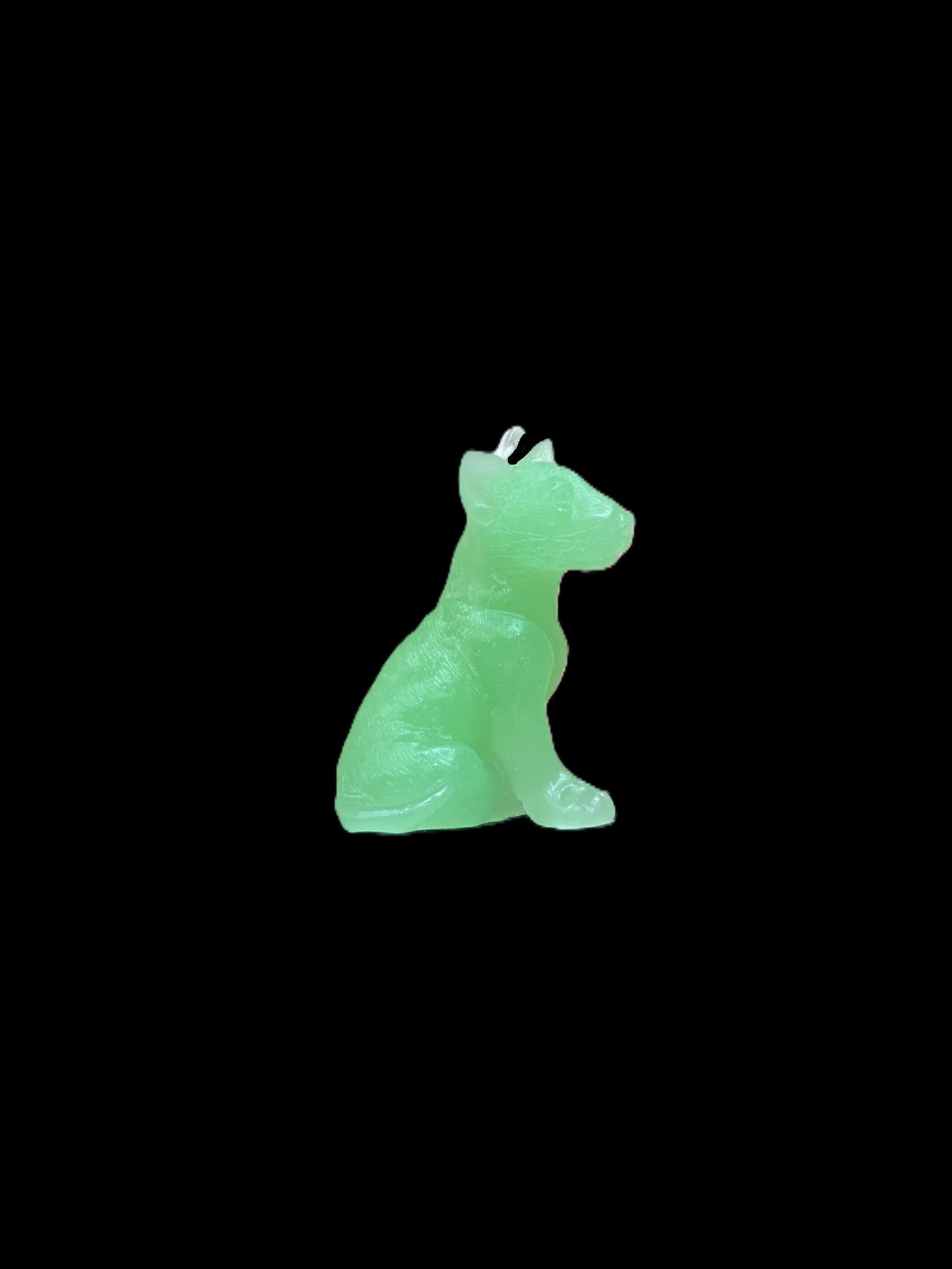 BULL TERRIER verde