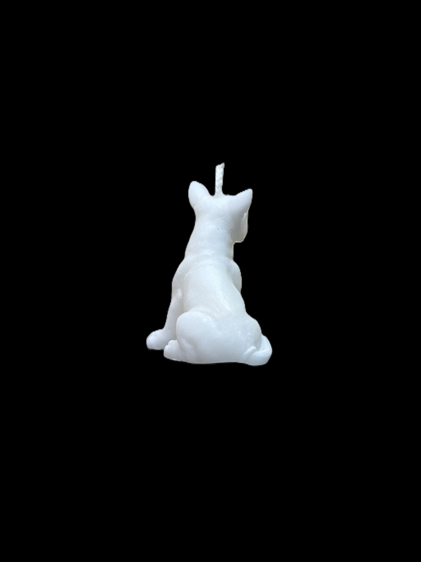 BULL TERRIER bianco
