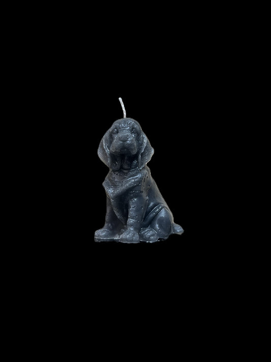 BLOODHOUND grigio