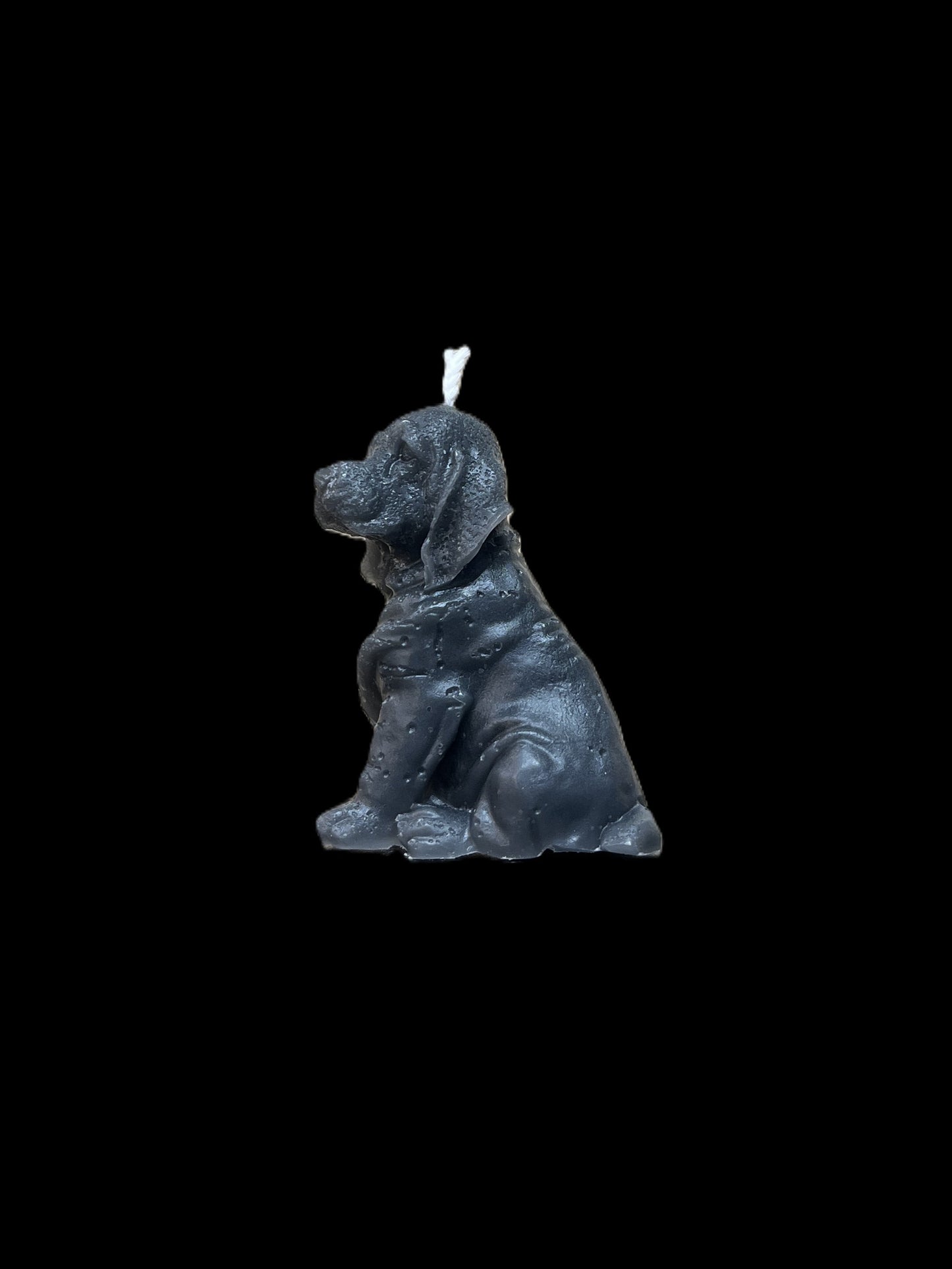 BLOODHOUND grigio