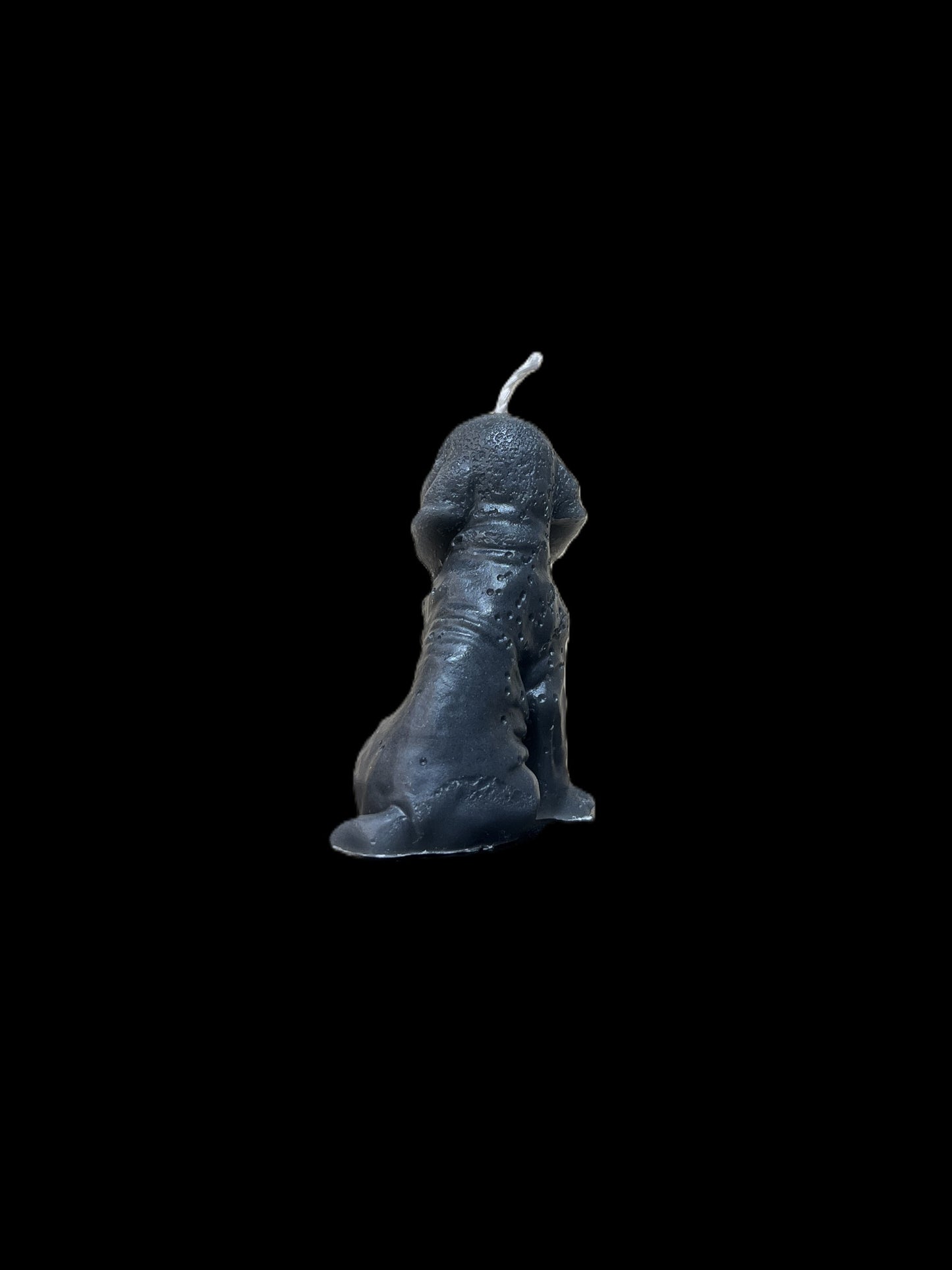 BLOODHOUND grigio