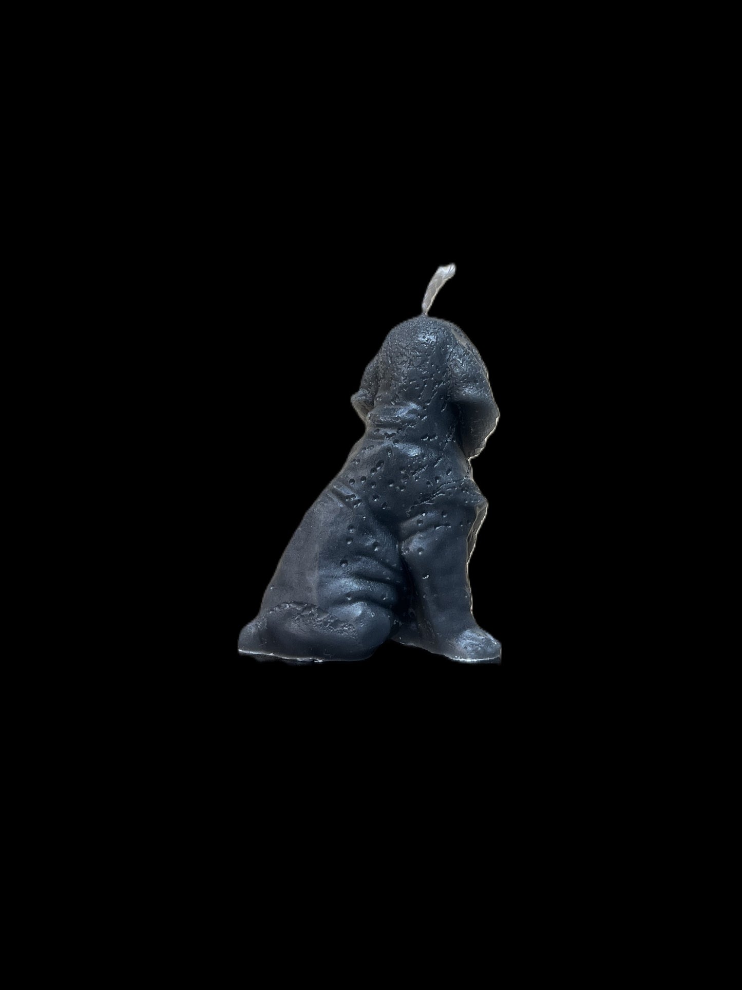 BLOODHOUND grigio