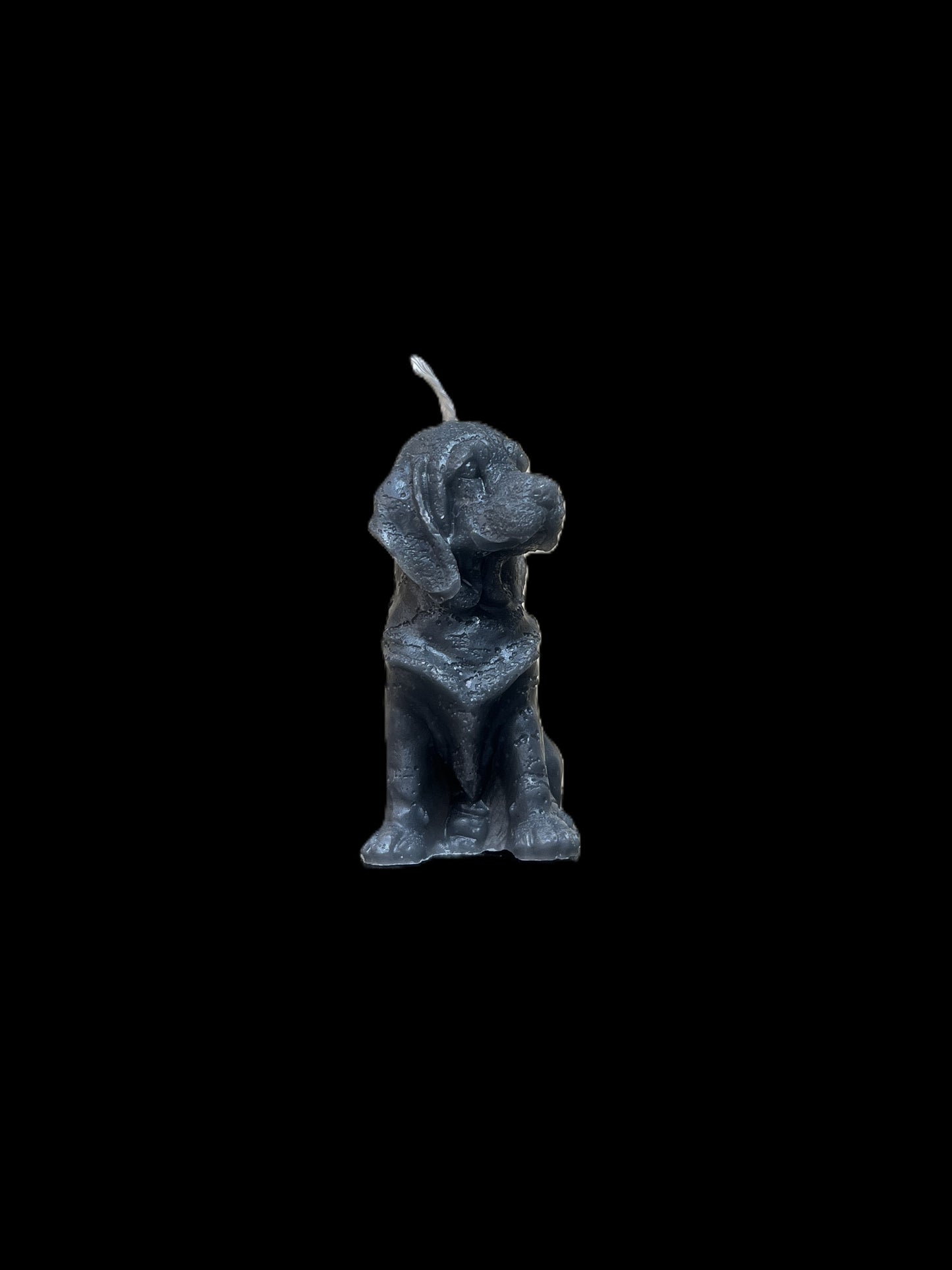 BLOODHOUND grigio