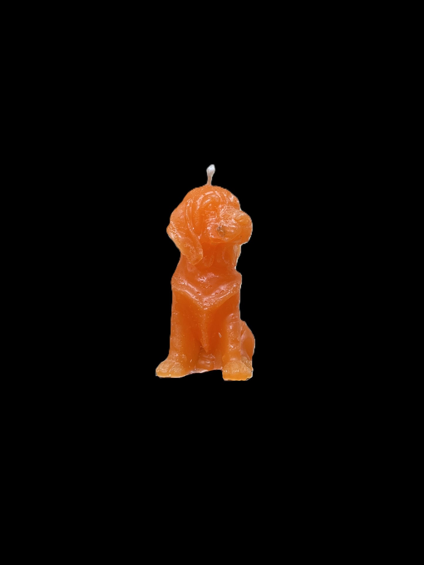 BLOODHOUND arancione