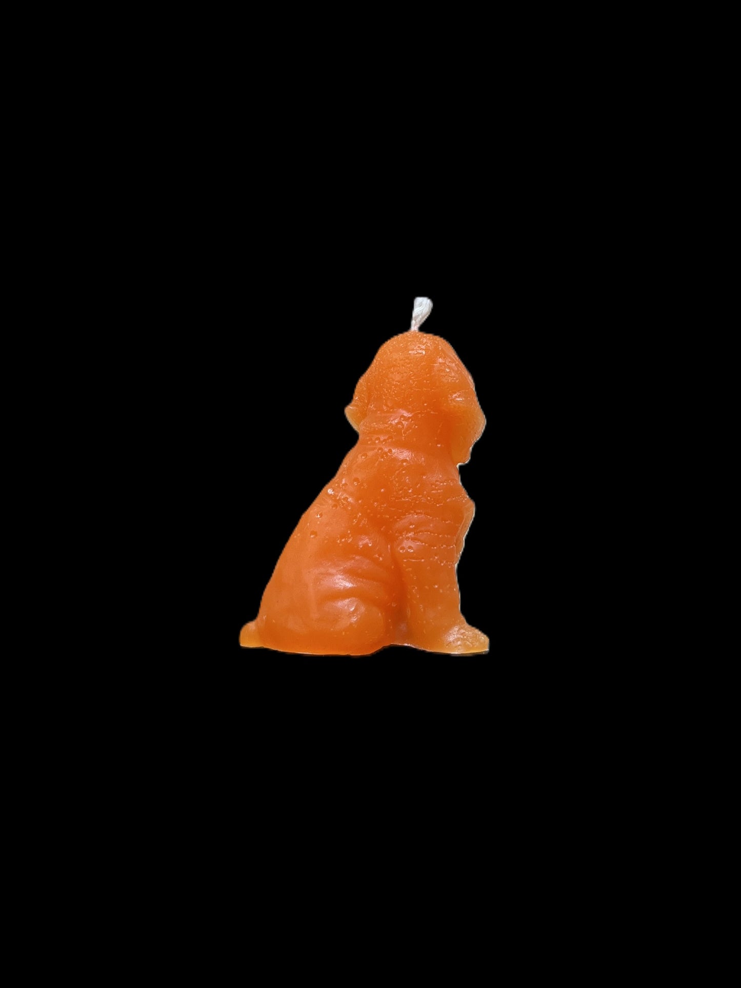 BLOODHOUND arancione