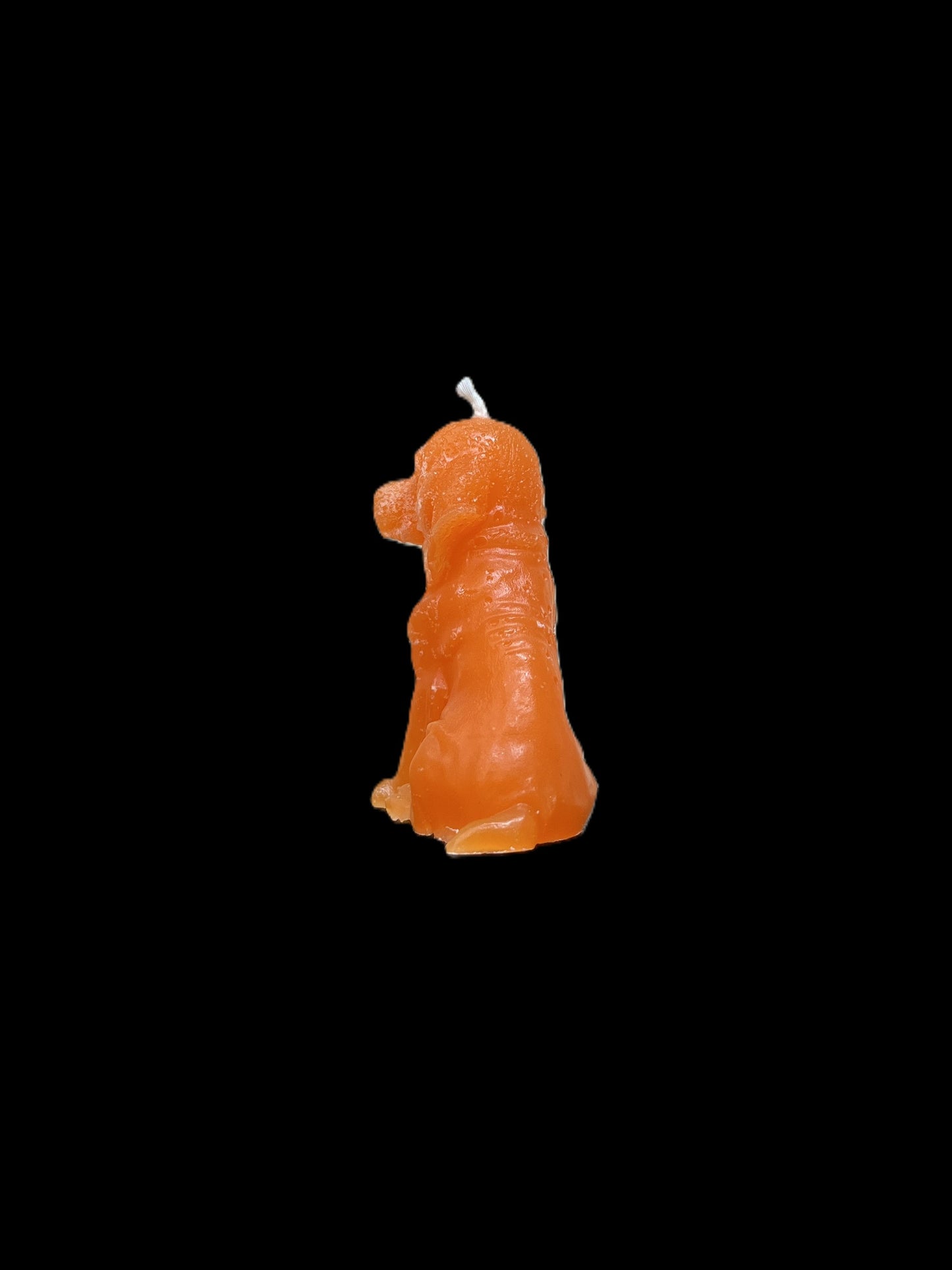 BLOODHOUND arancione