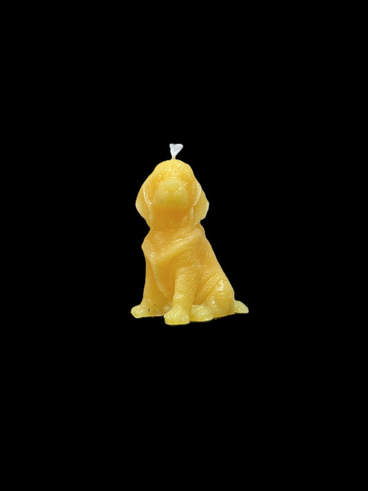 BLOODHOUND giallo