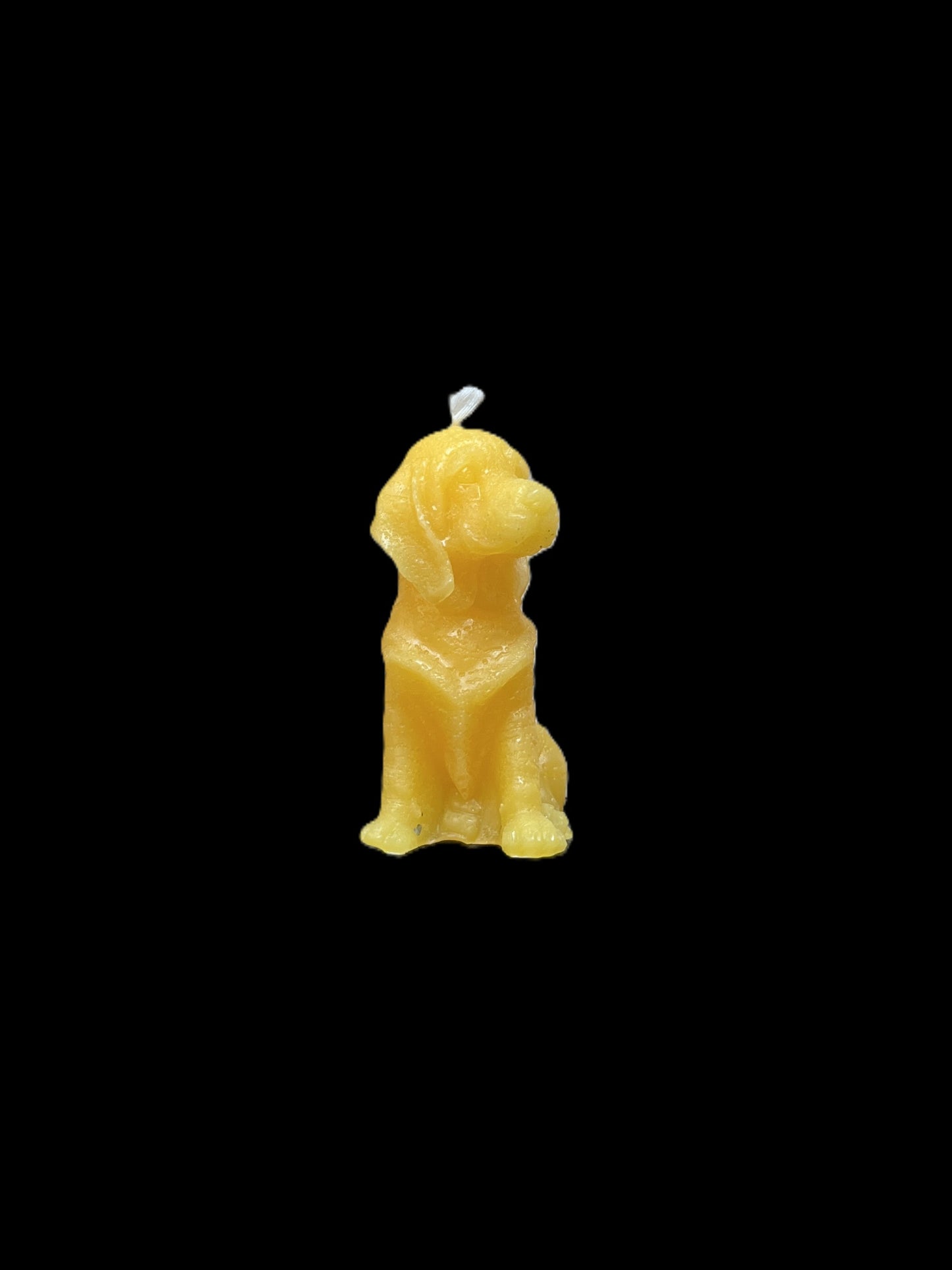 BLOODHOUND giallo