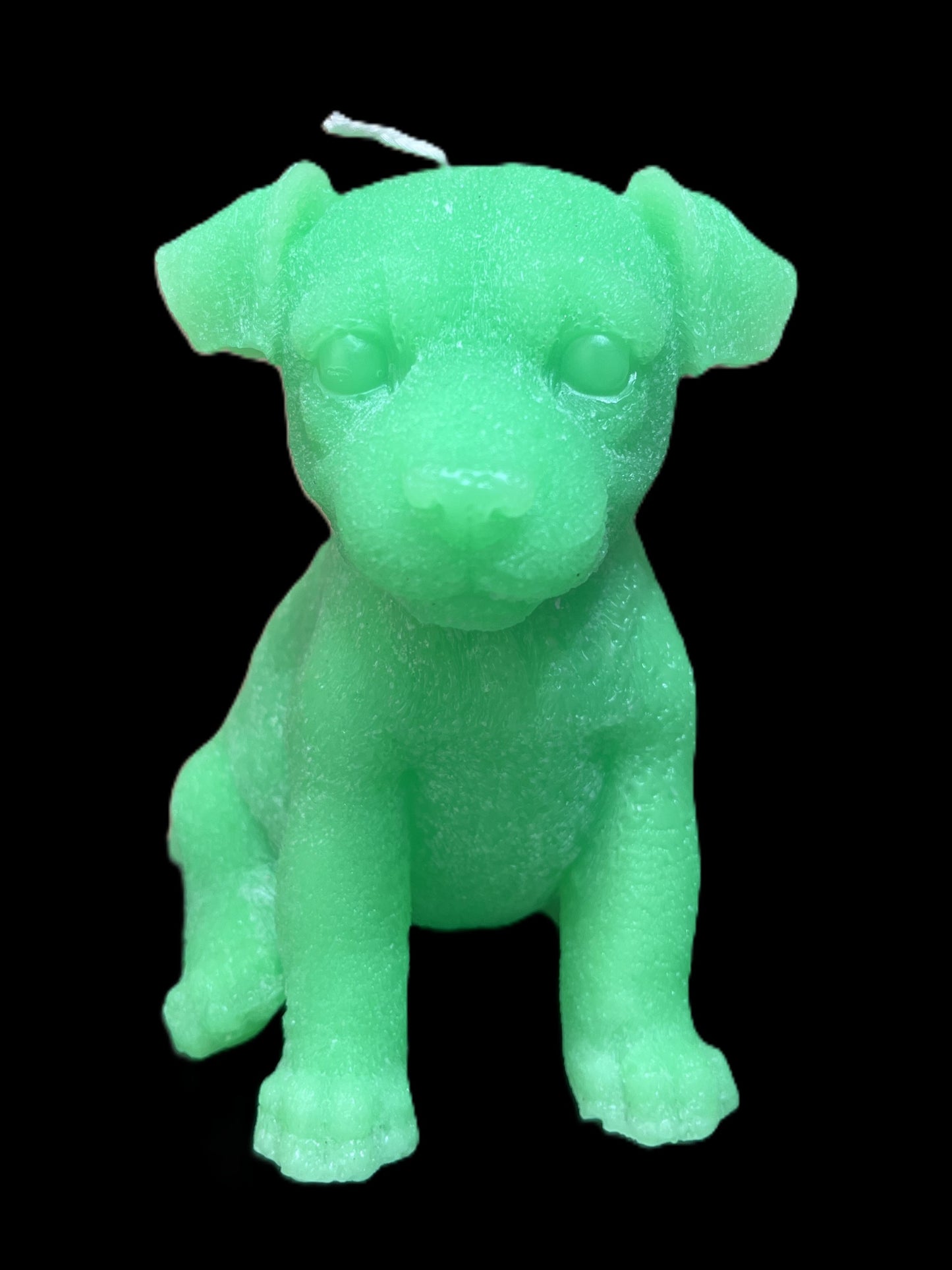 JACK RUSSELL verde