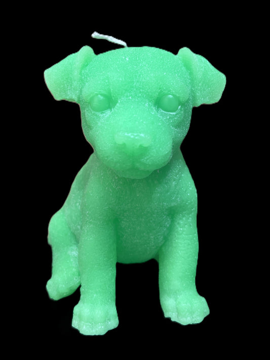 JACK RUSSELL verde