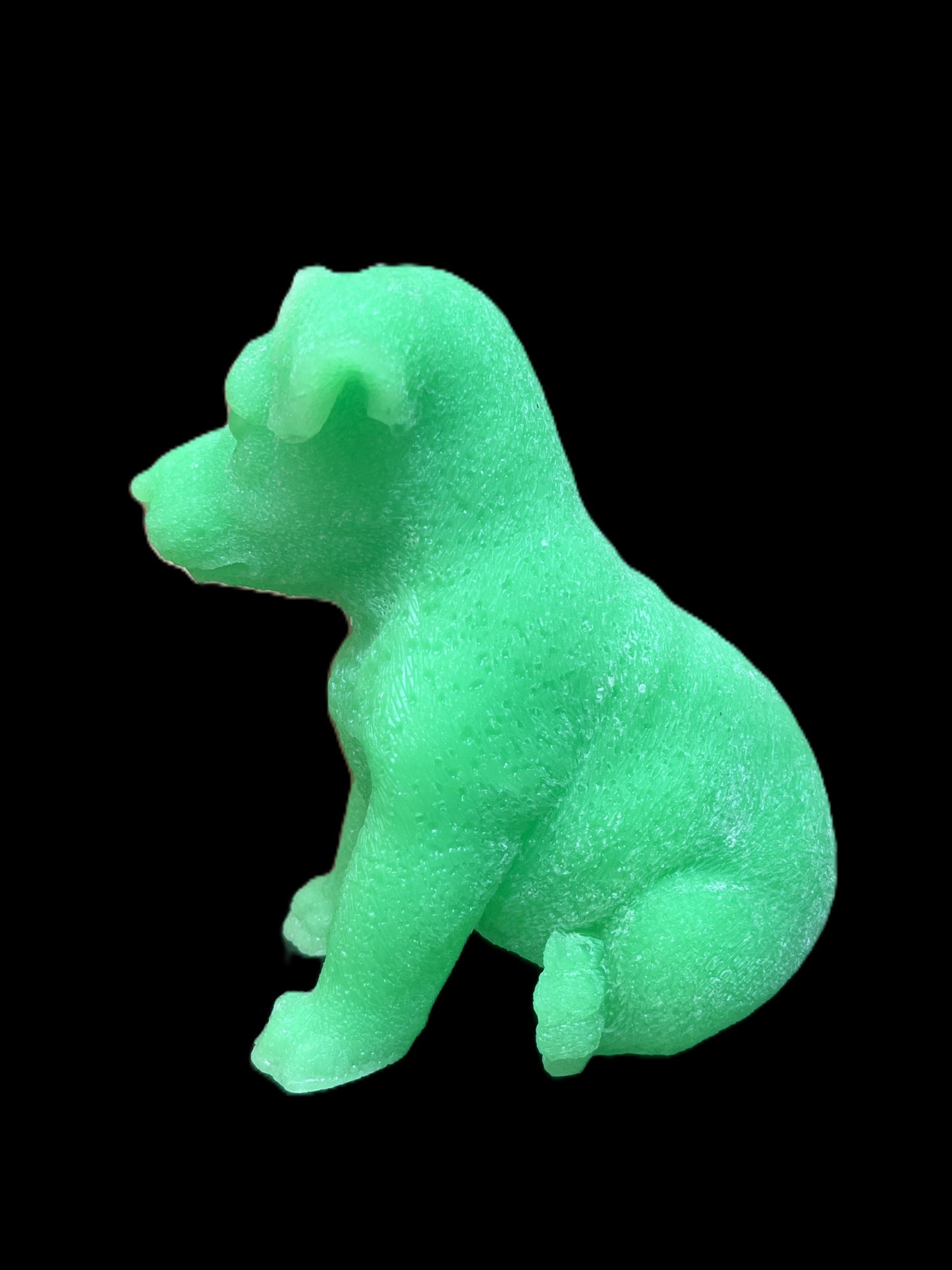 JACK RUSSELL verde