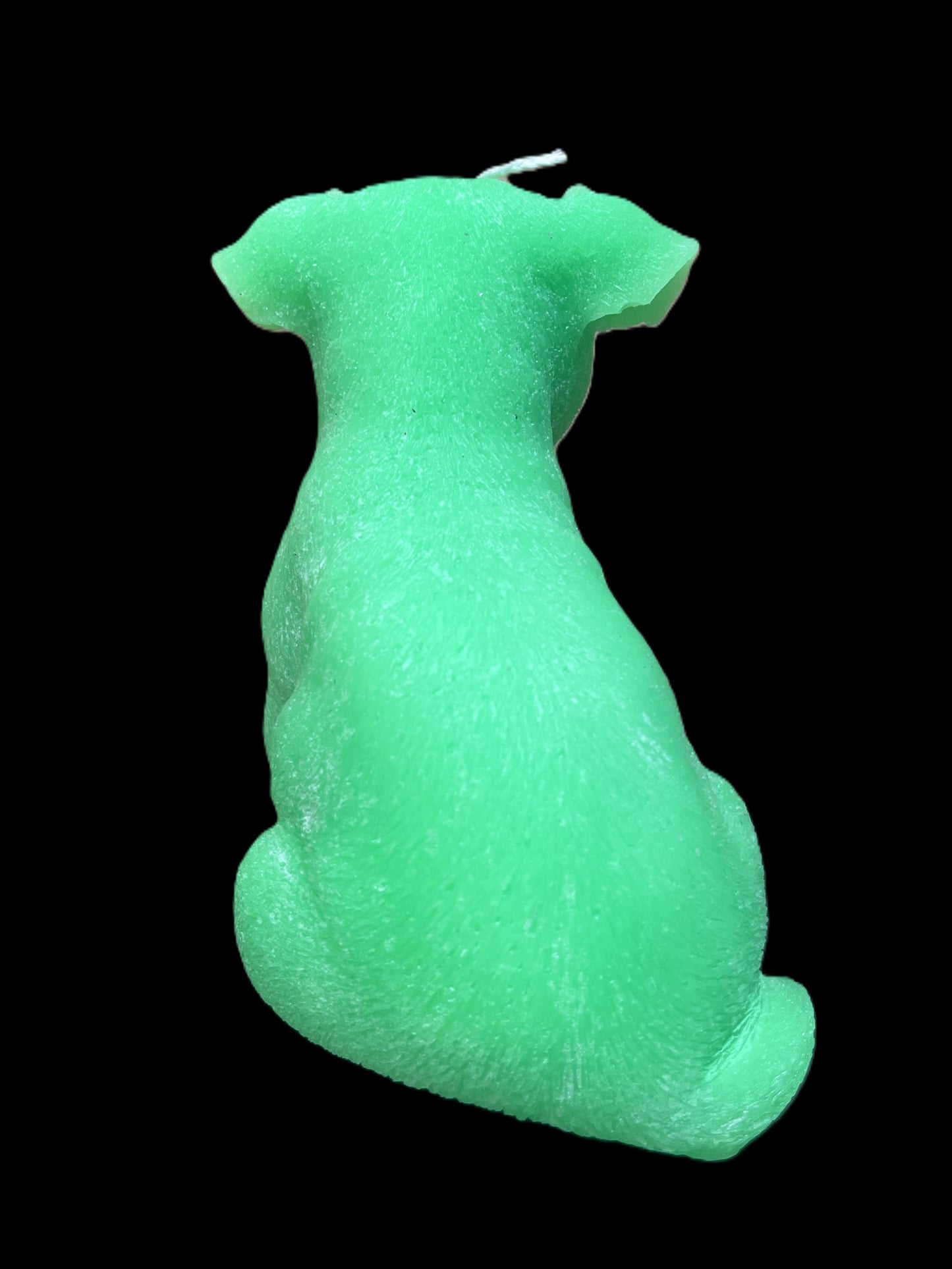 JACK RUSSELL verde
