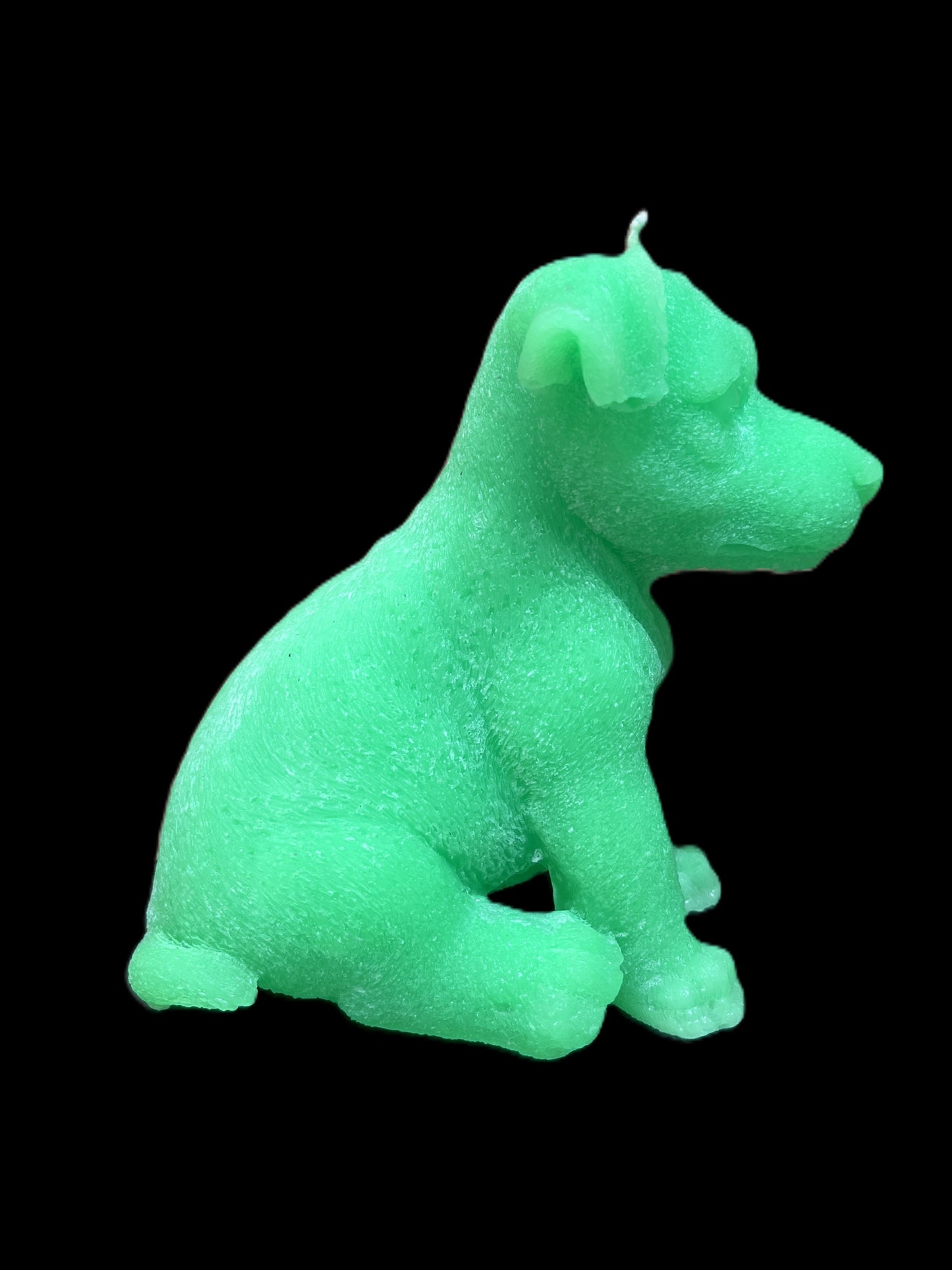 JACK RUSSELL verde