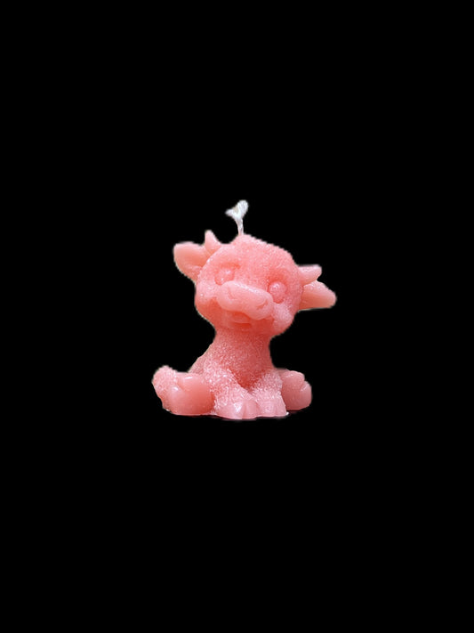 MUCCA rosa