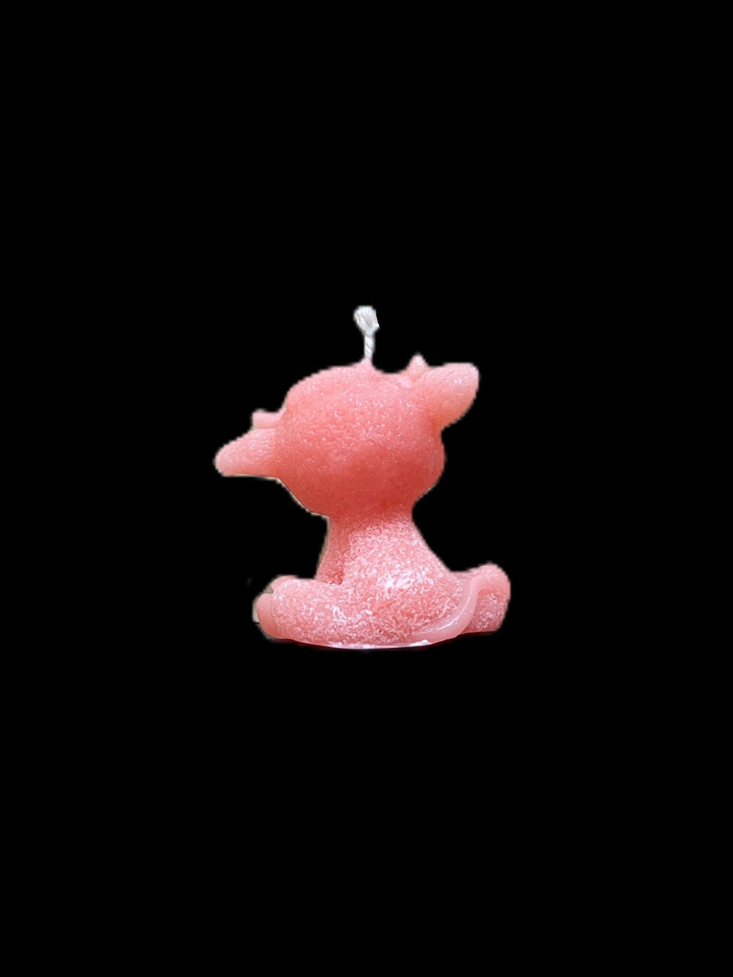 MUCCA rosa