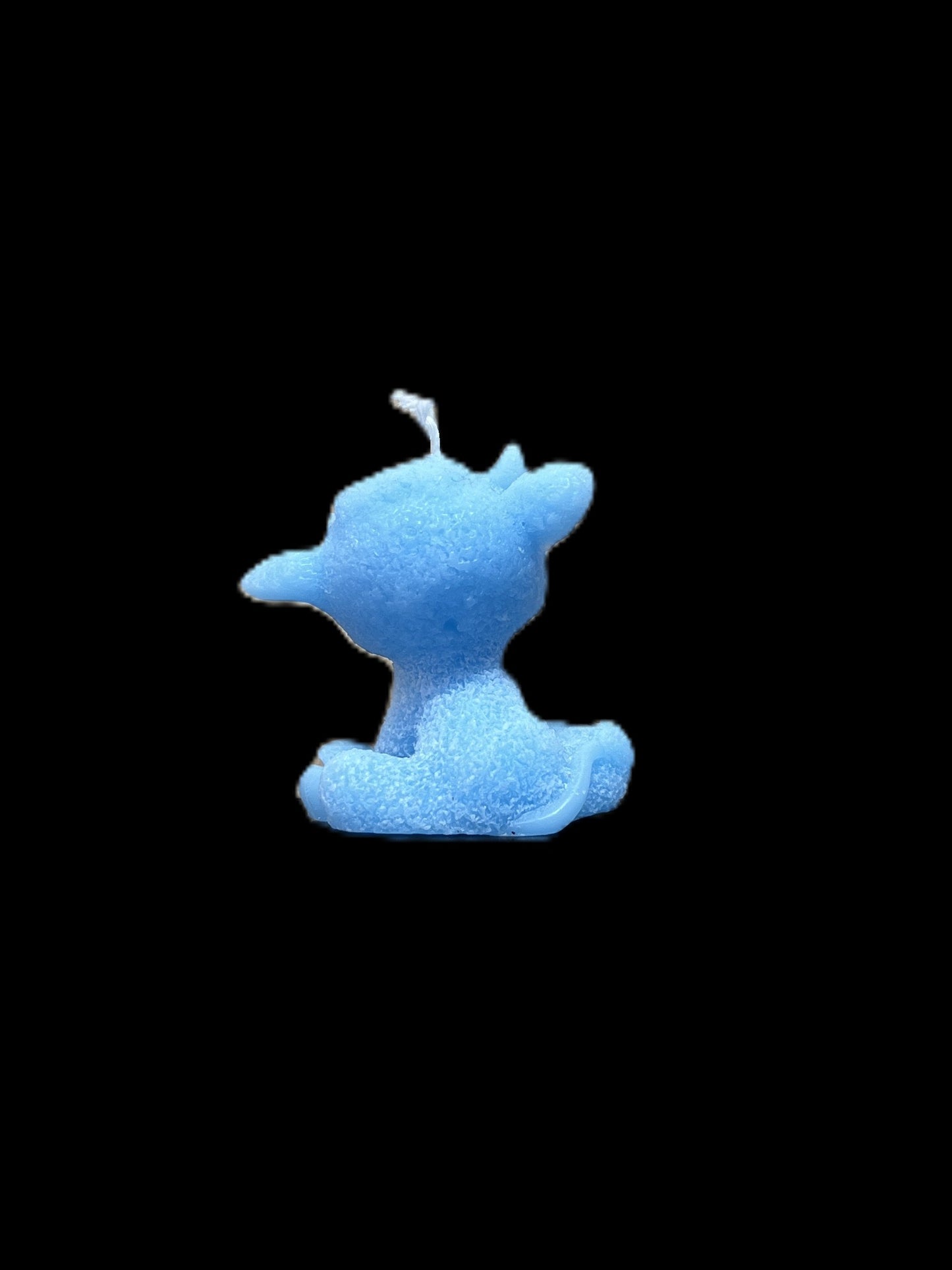 MUCCA azzurro