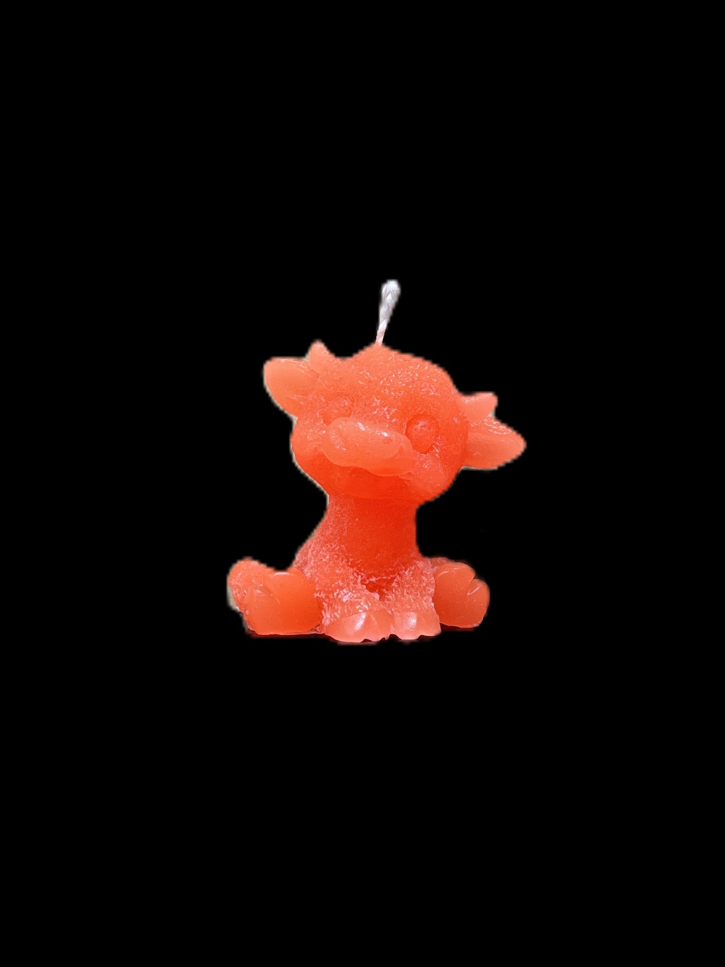 MUCCA arancione
