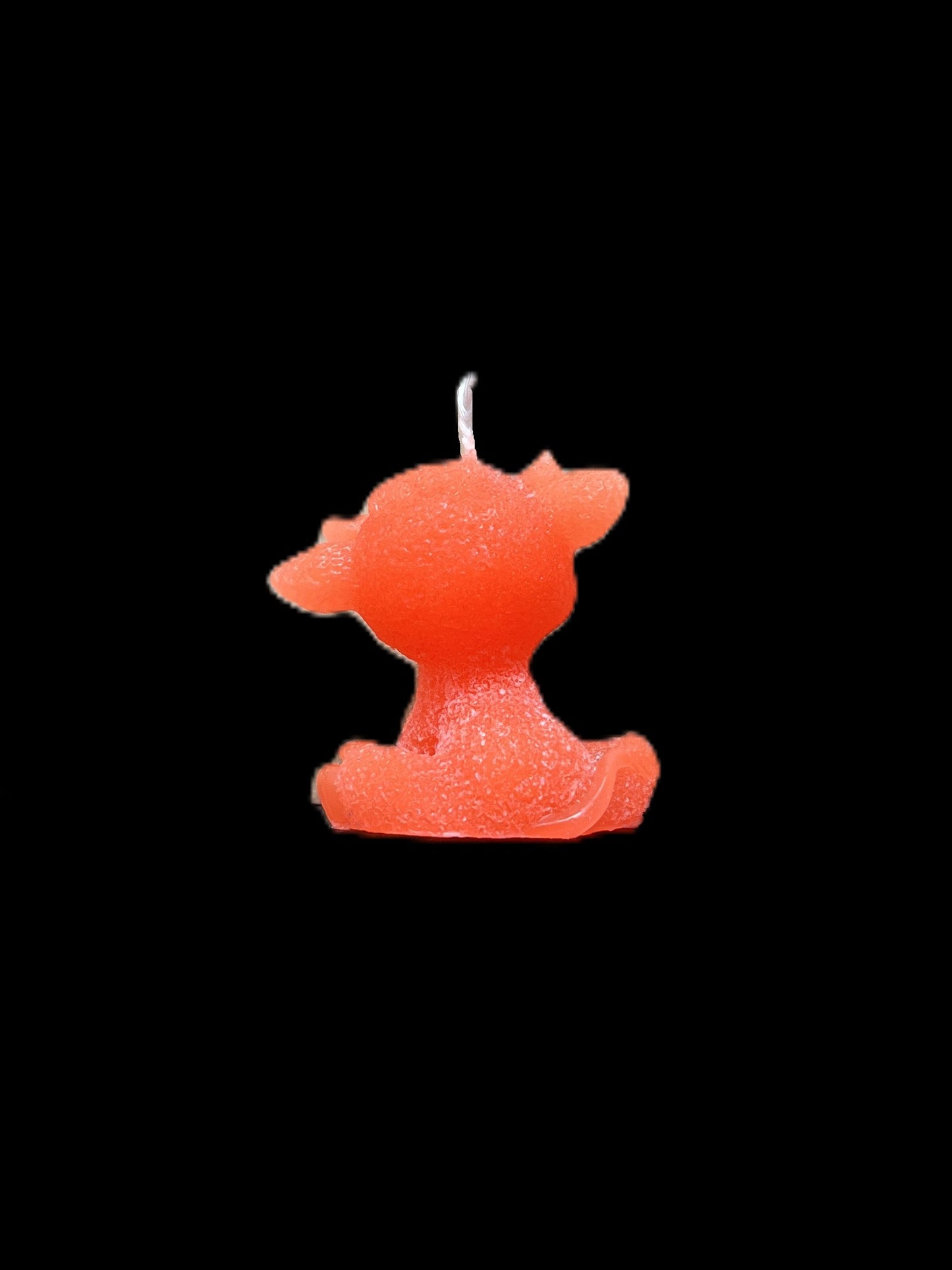 MUCCA arancione