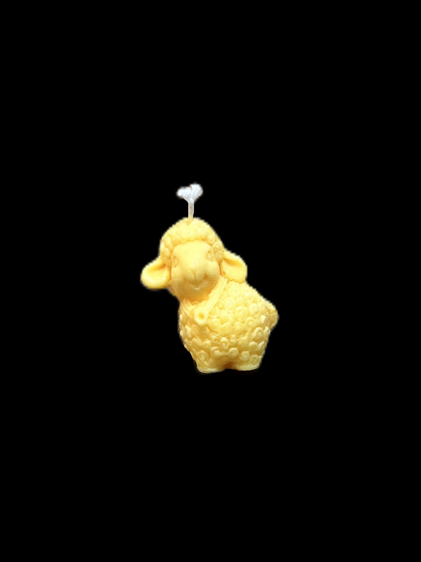 PECORA giallo
