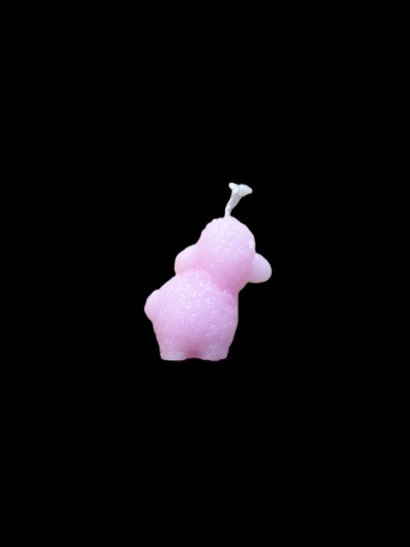 PECORA rosa