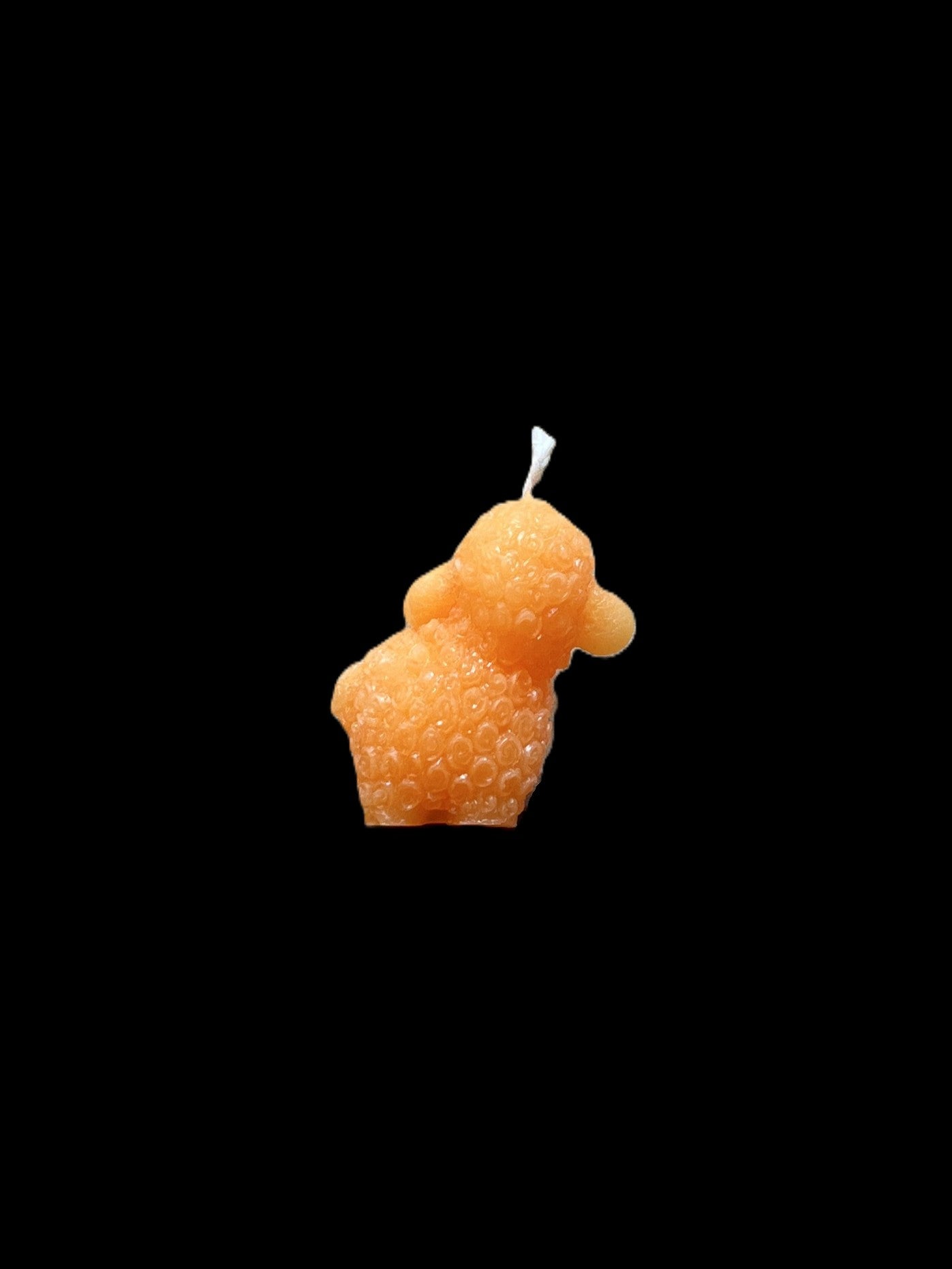 PECORA arancione