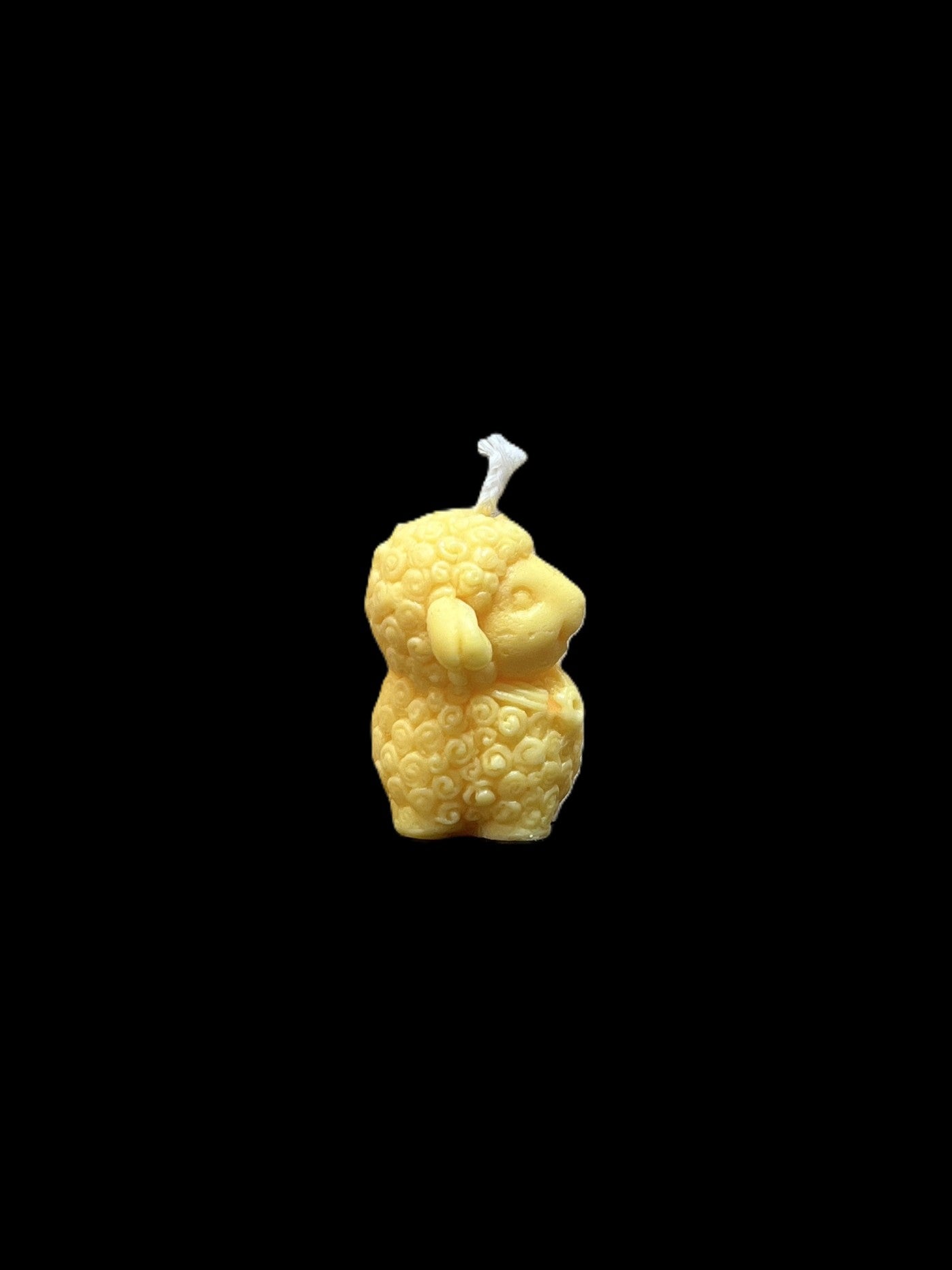 PECORA giallo