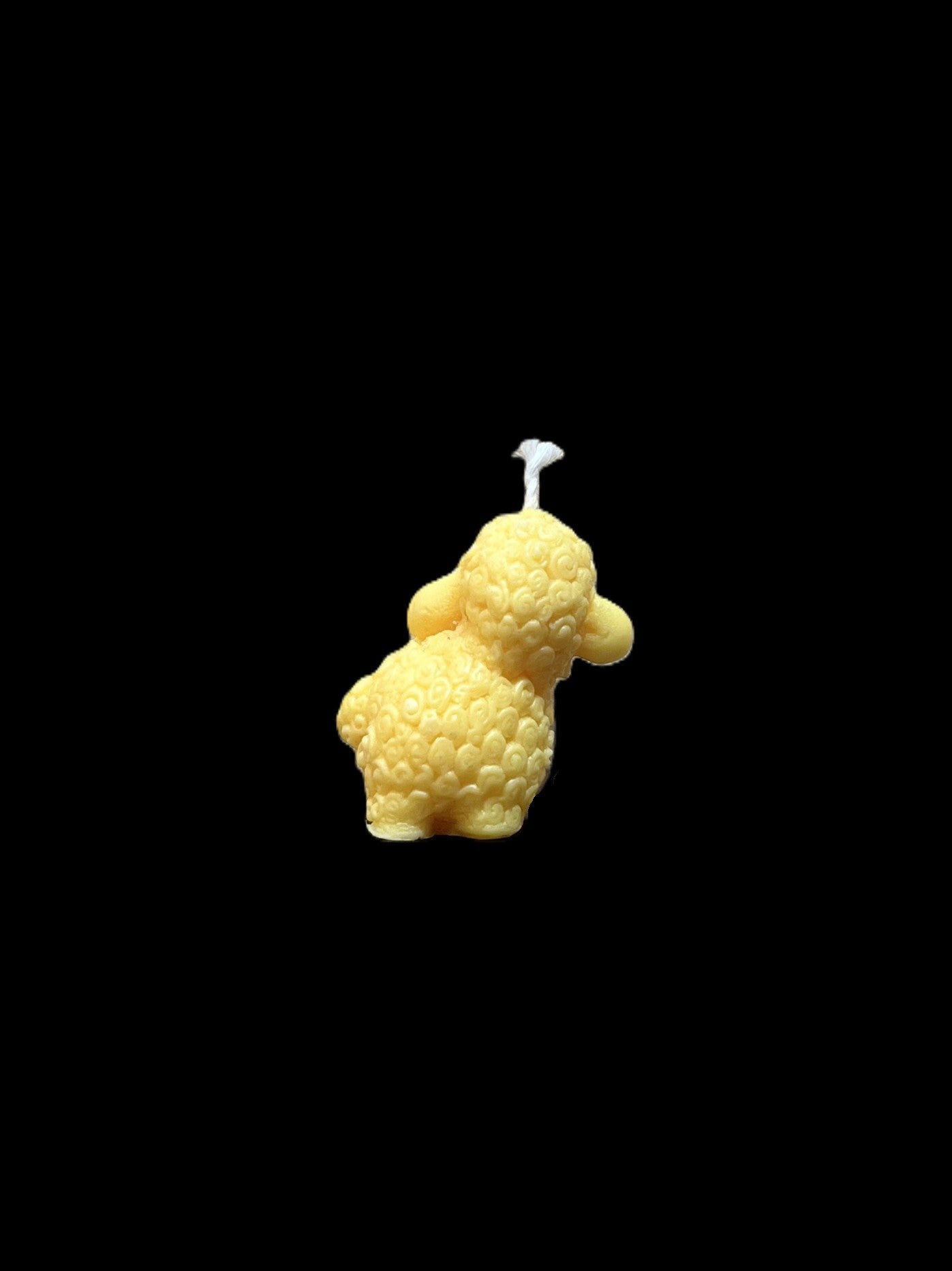 PECORA giallo