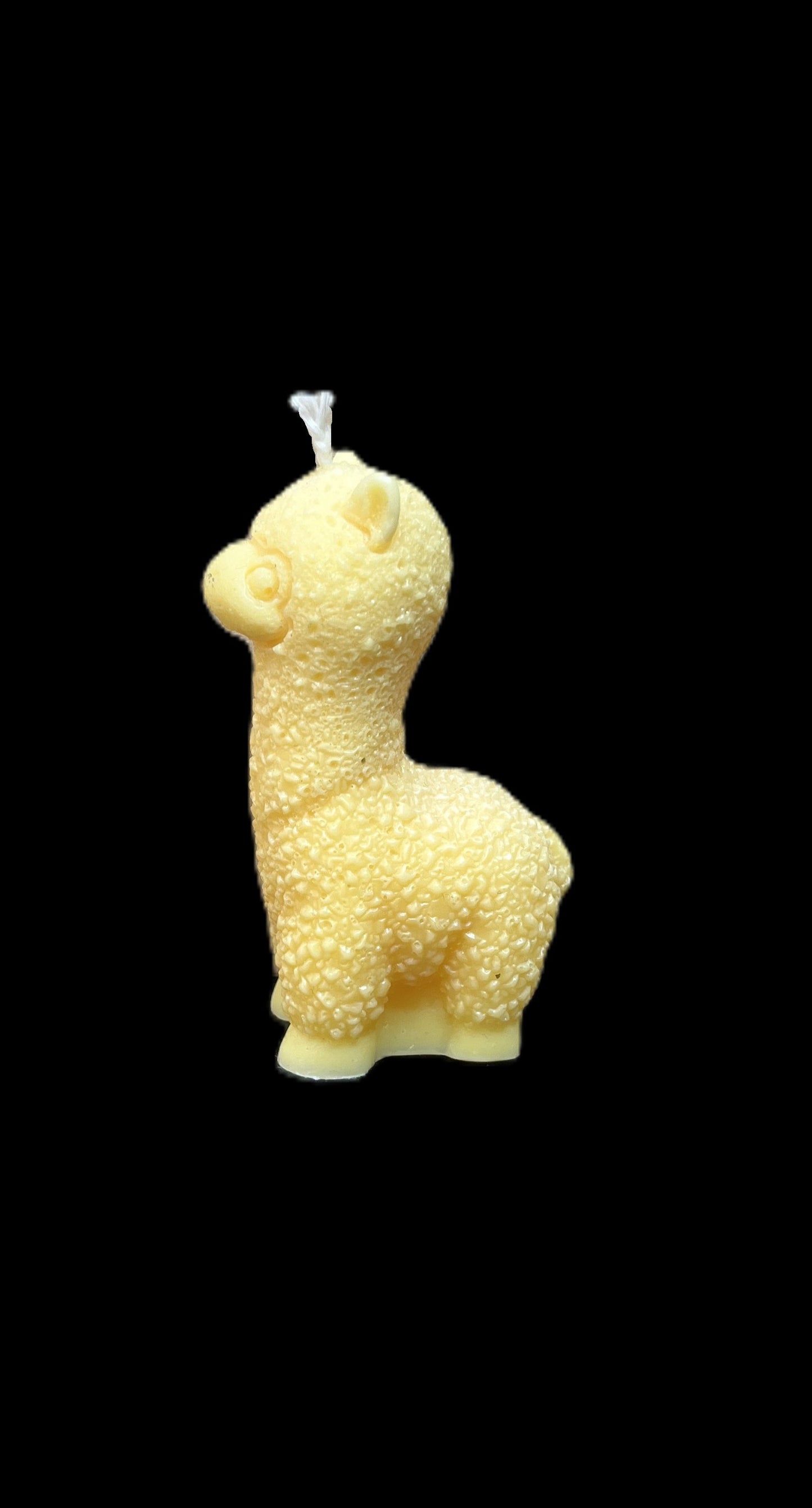 ALPACA giallo