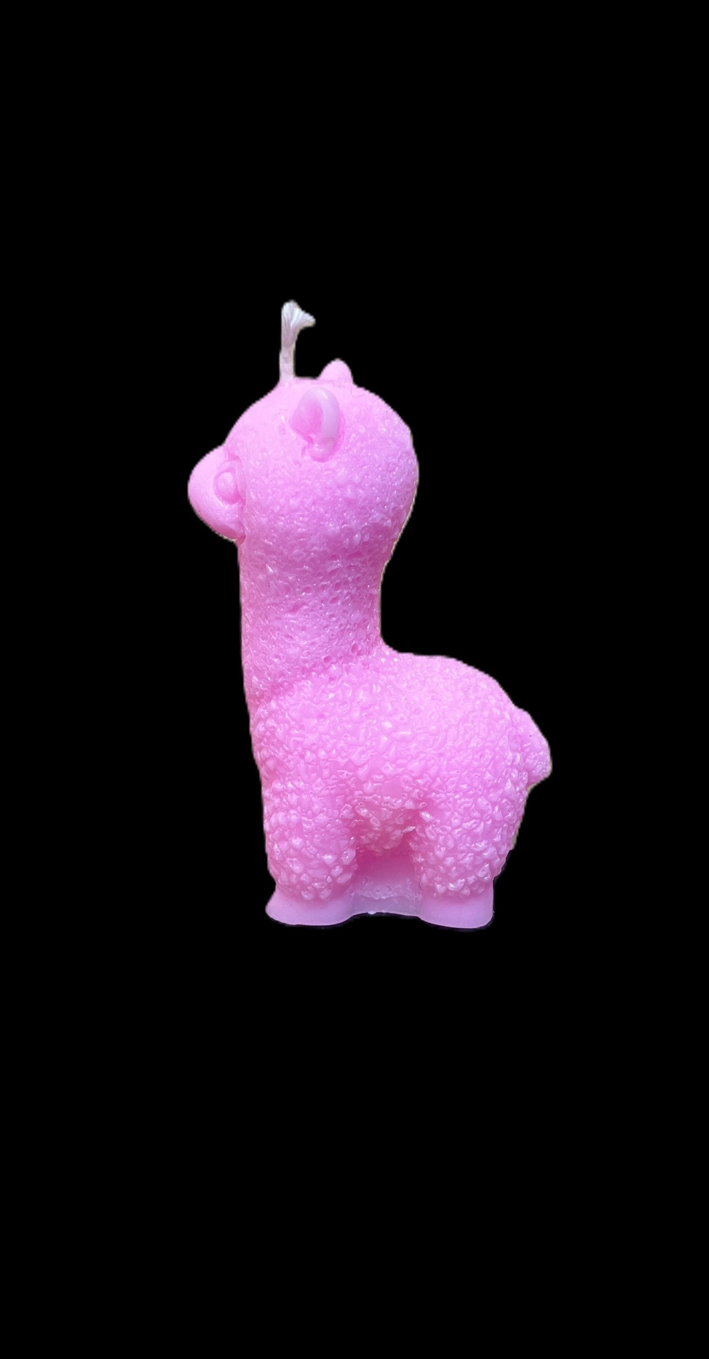 ALPACA rosa