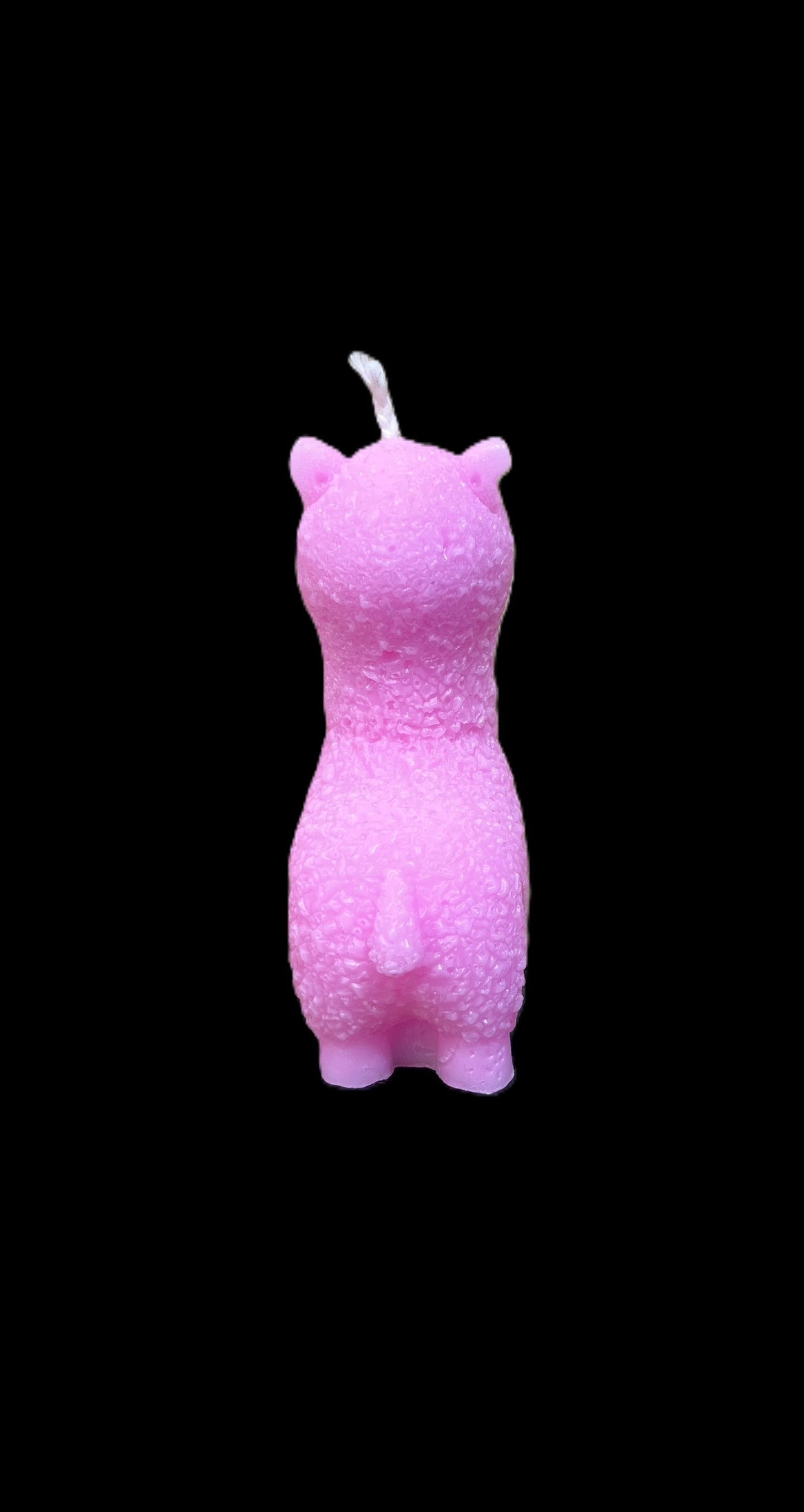 ALPACA rosa