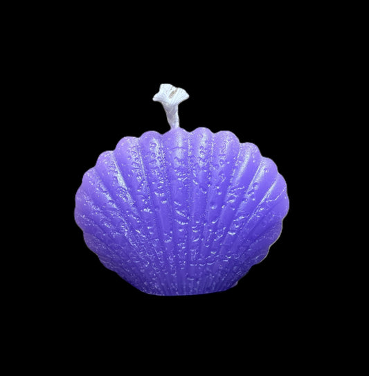 CONCHIGLIA viola