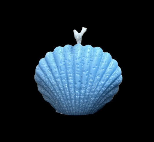 CONCHIGLIA azzurro