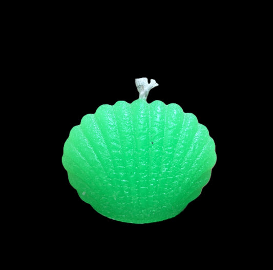 CONCHIGLIA verde