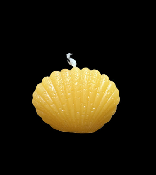 CONCHIGLIA giallo