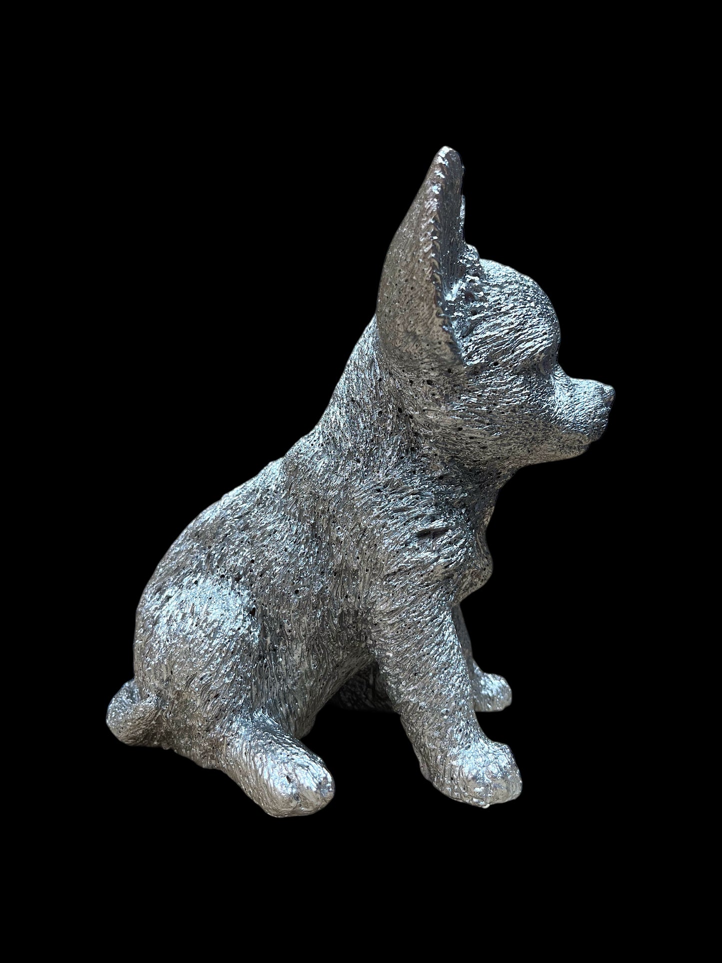 CHIHUAHUA argento