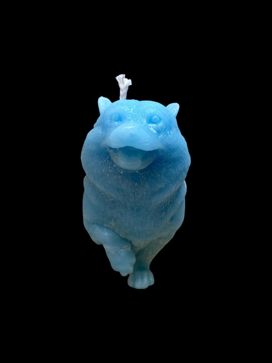 CORGI azzurro