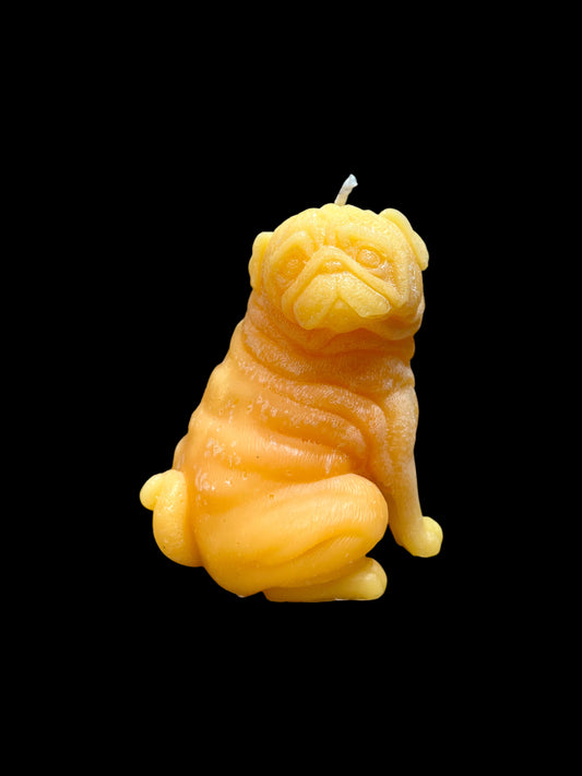 CARLINO giallo