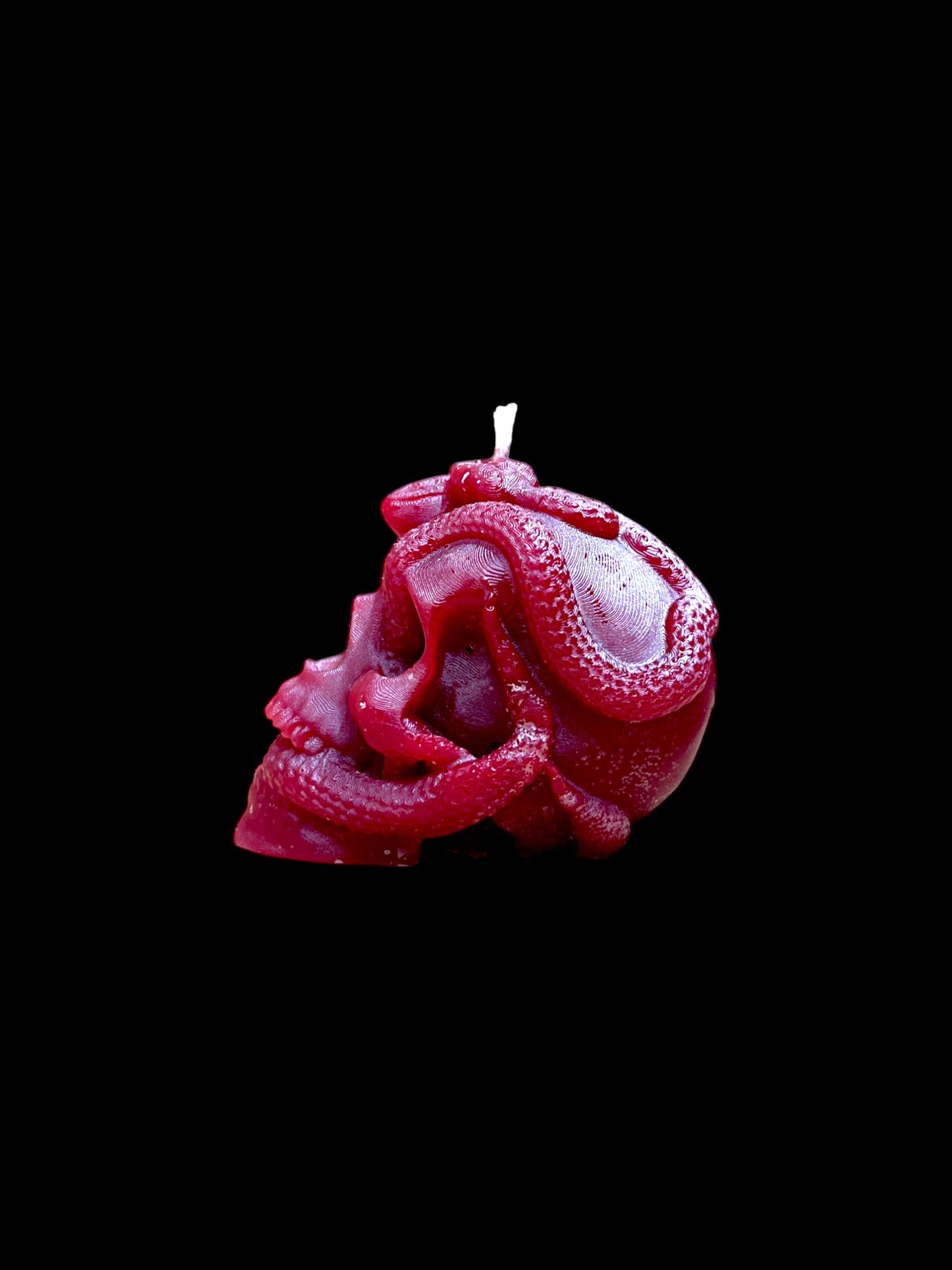TESCHIO ATTRAVERSATO DA SERPENTI rosso