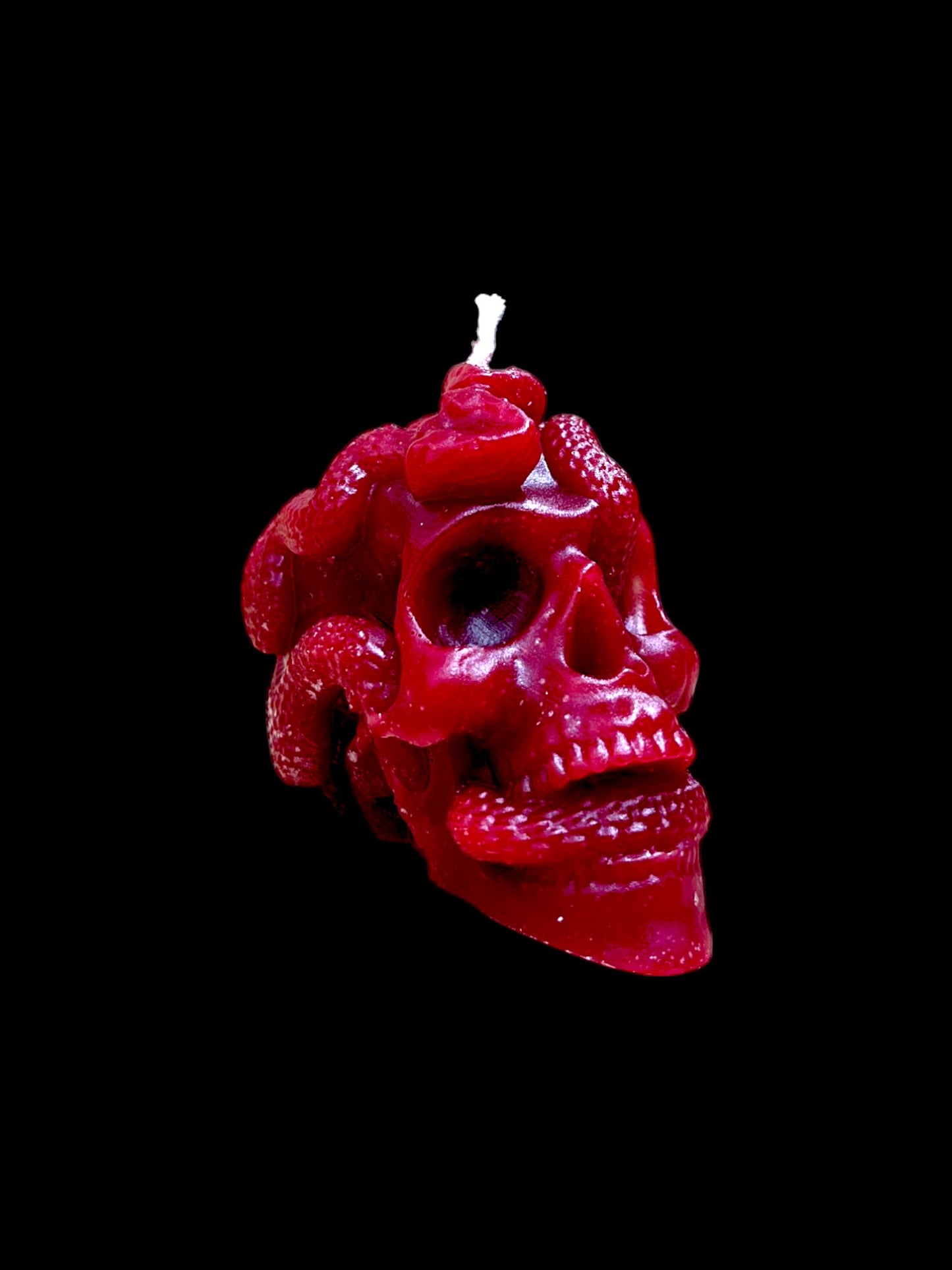 TESCHIO ATTRAVERSATO DA SERPENTI rosso