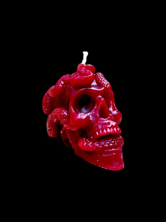 TESCHIO ATTRAVERSATO DA SERPENTI rosso